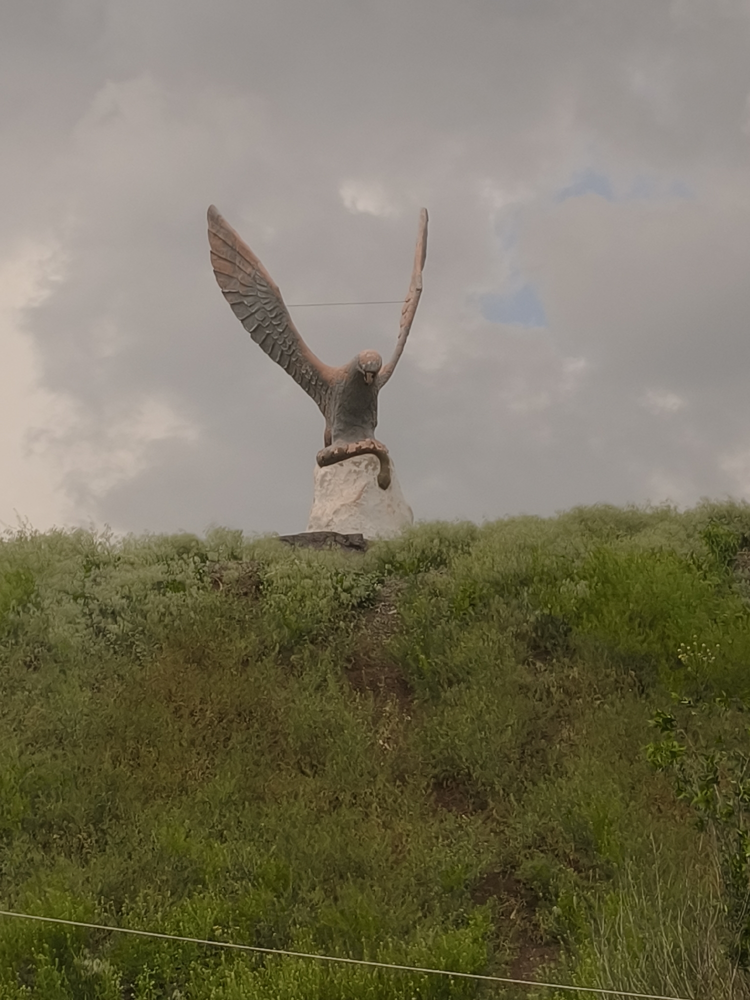 Eagle statue holding snake observed in Kryvyi Rih