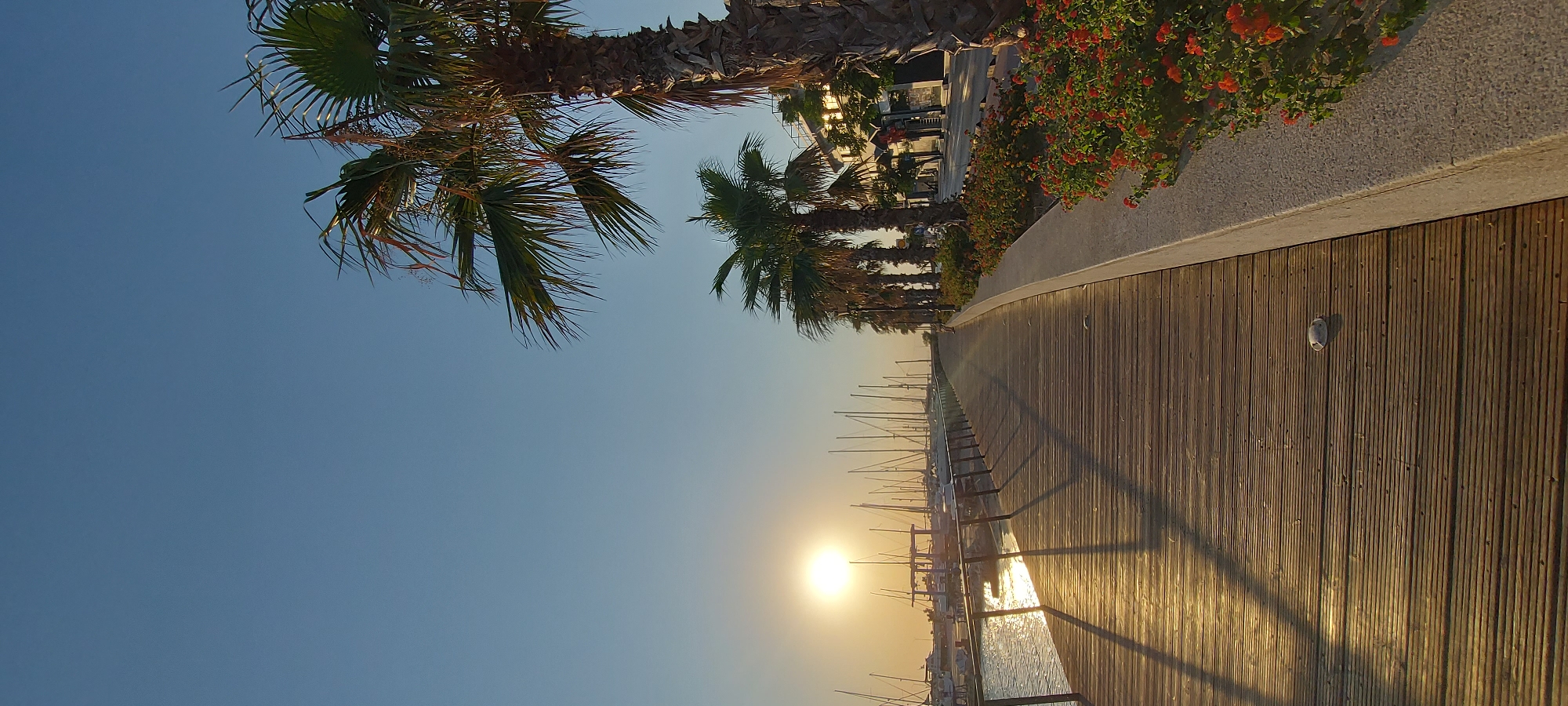 Golden hour at a Rhodes marina boardwalk