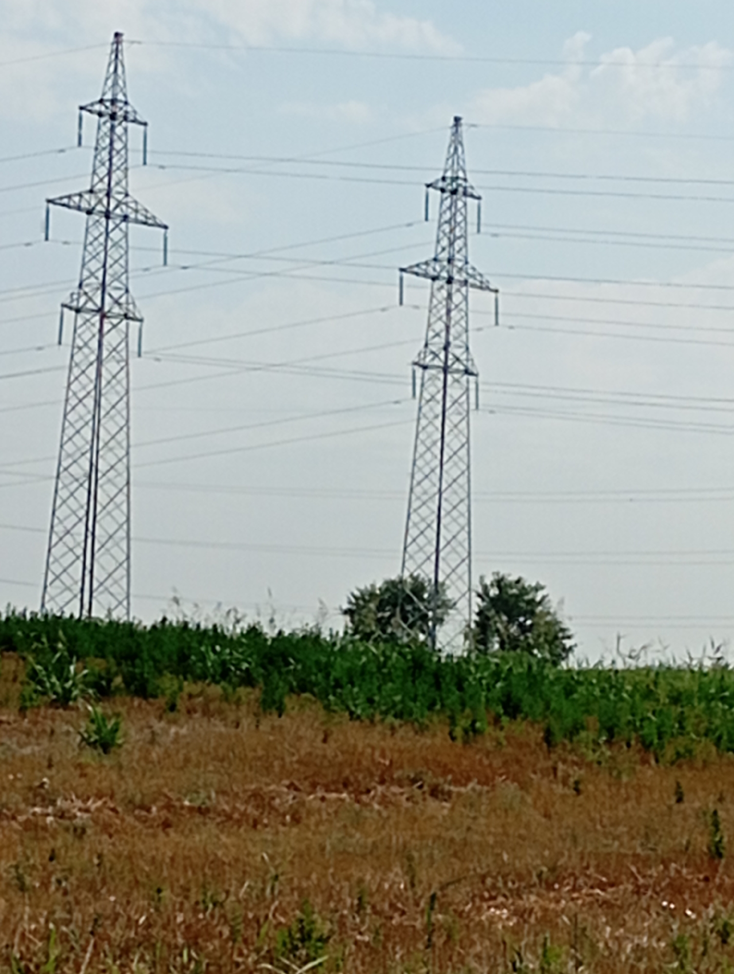 Mirzo Ulugbek, Uzbekistan