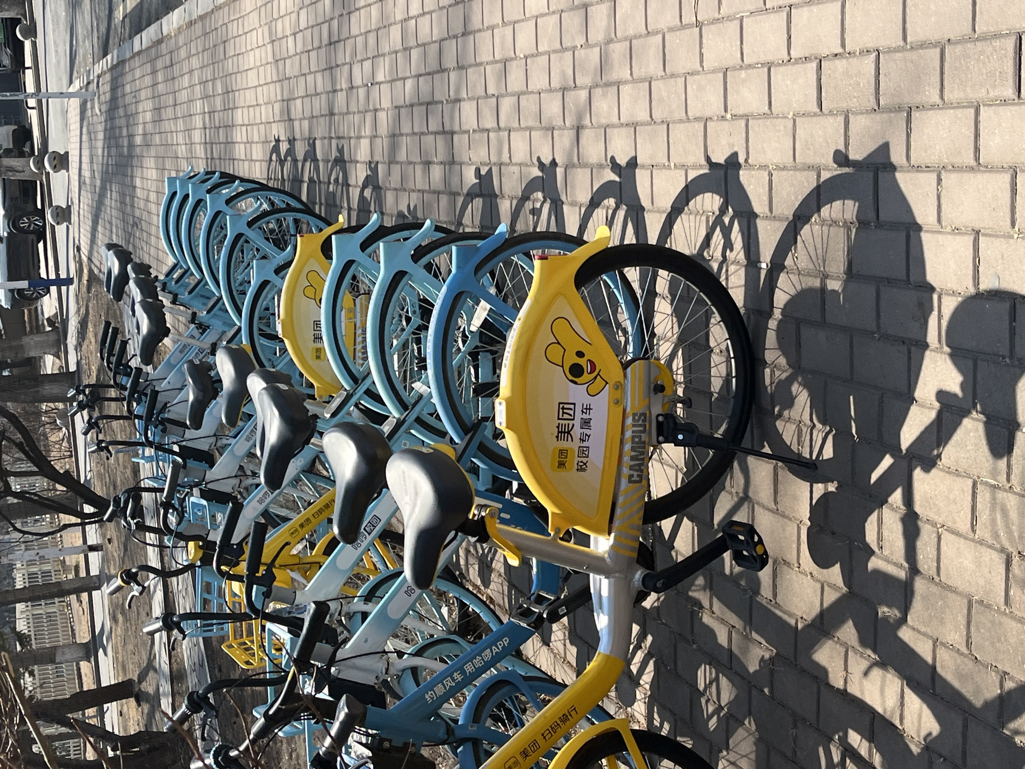 Urban documentation tour captures Changchun City streetscapes and architecture