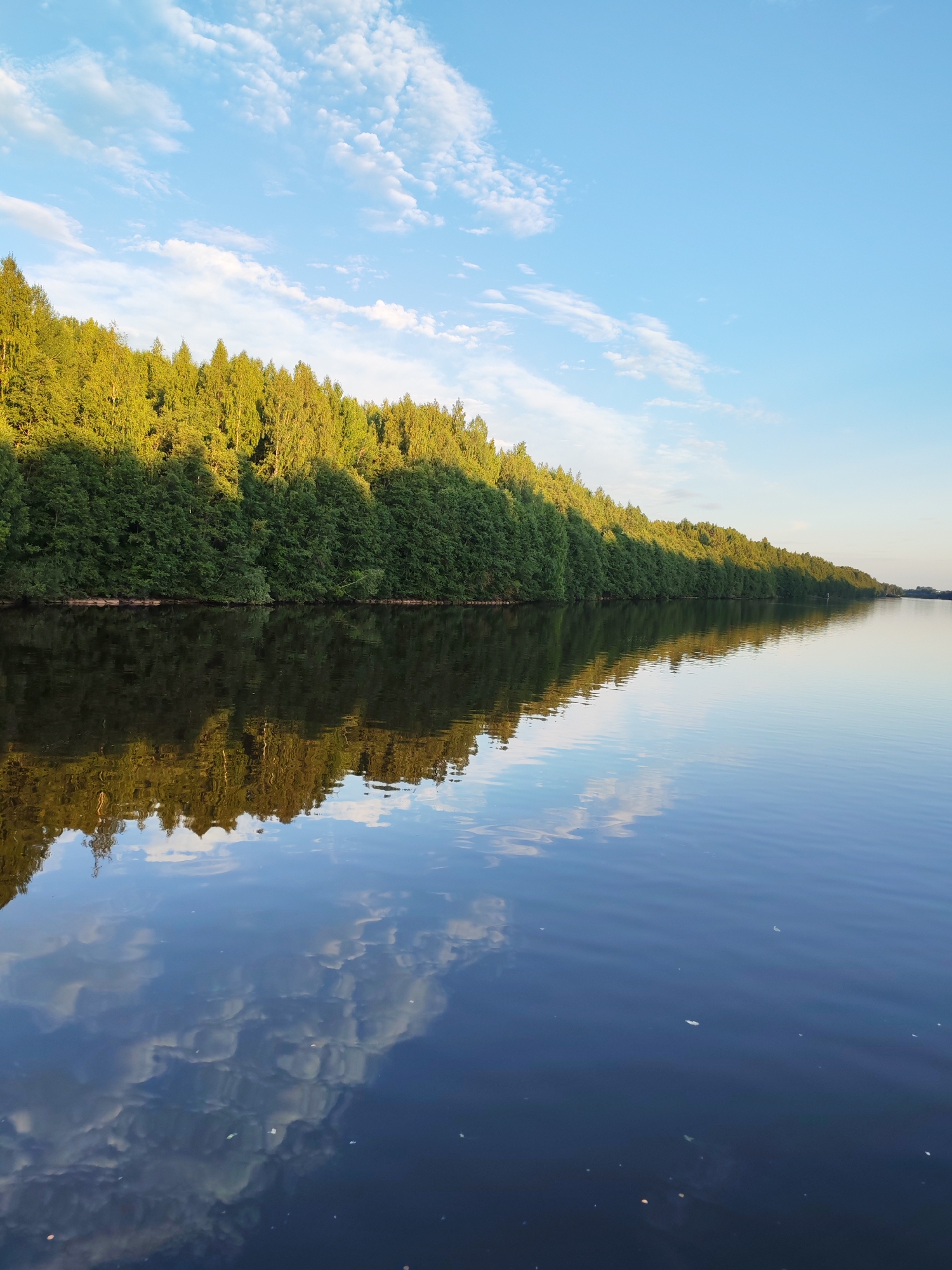 Lazy river crossing by barge near Annenskii Most
