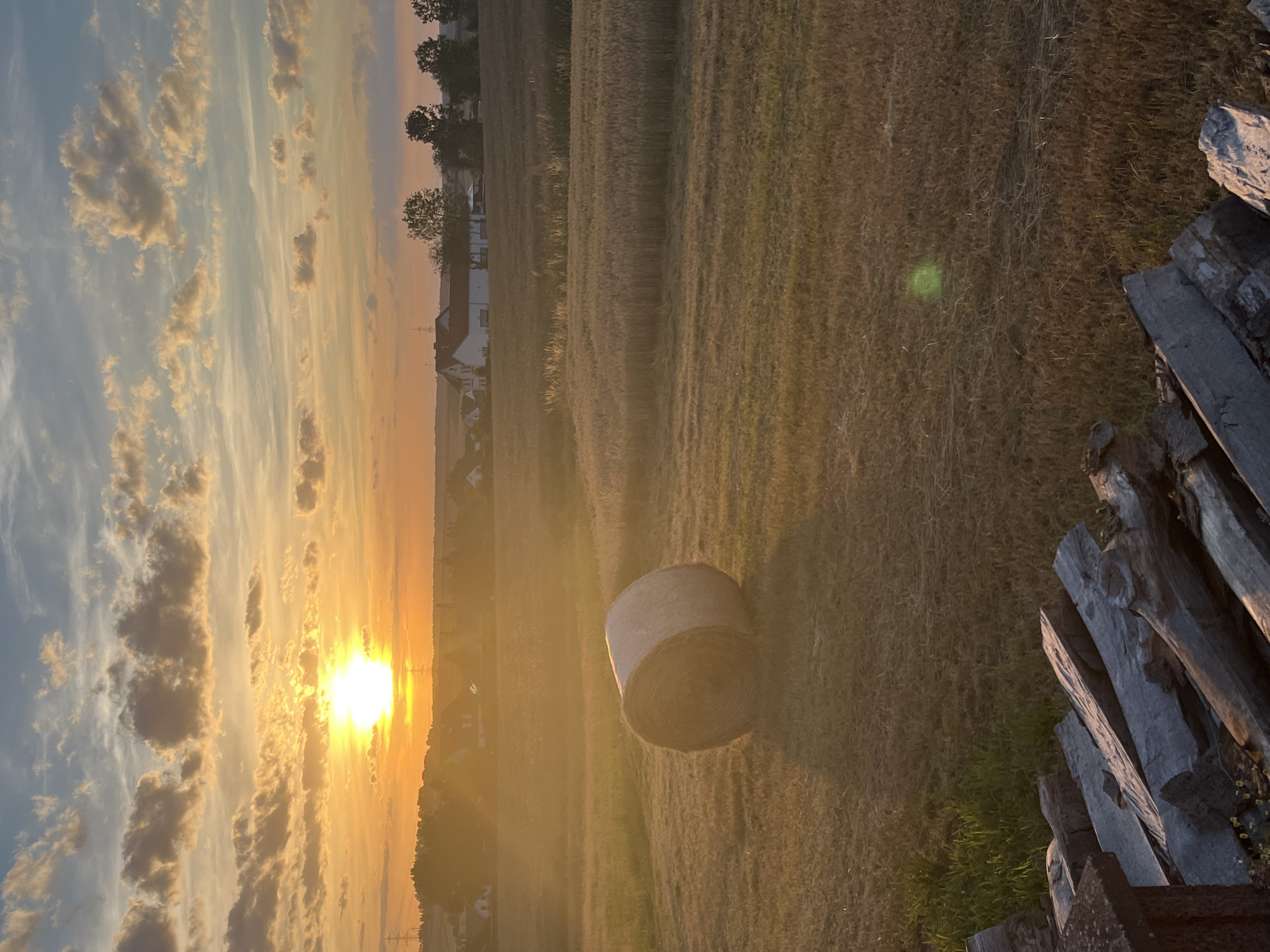 Sunset over rural Neustadt, geraniums in the foreground