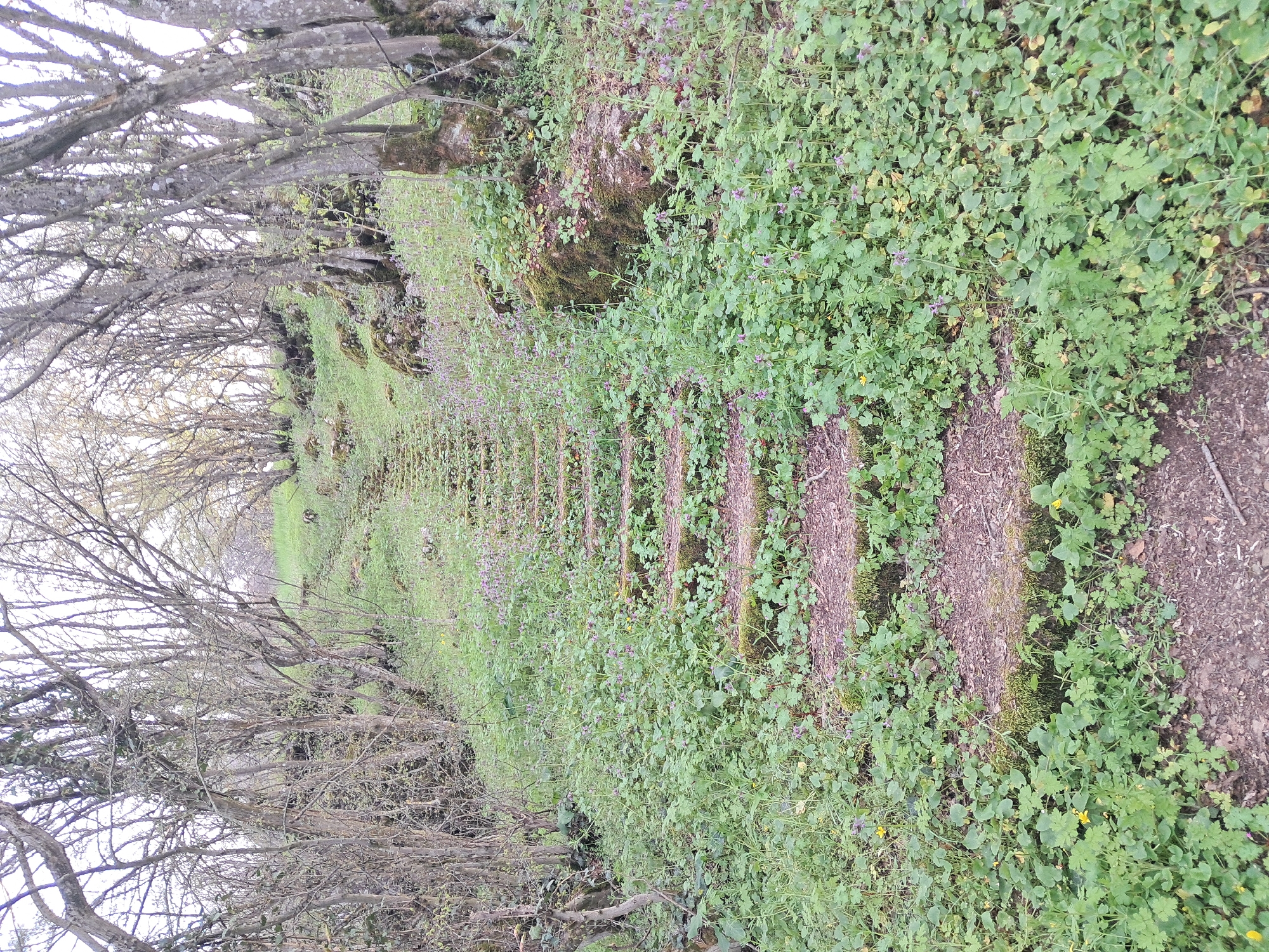Historic water wheel and stone pathway documented in Musina
