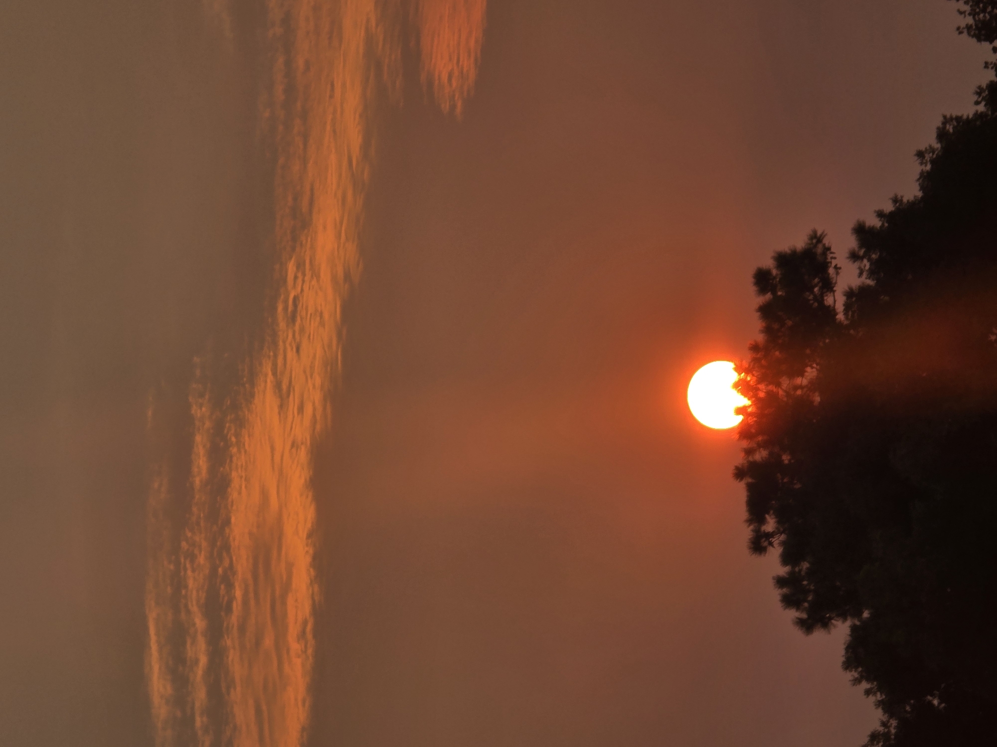 Orange sunset glows through haze behind Roswell tree line