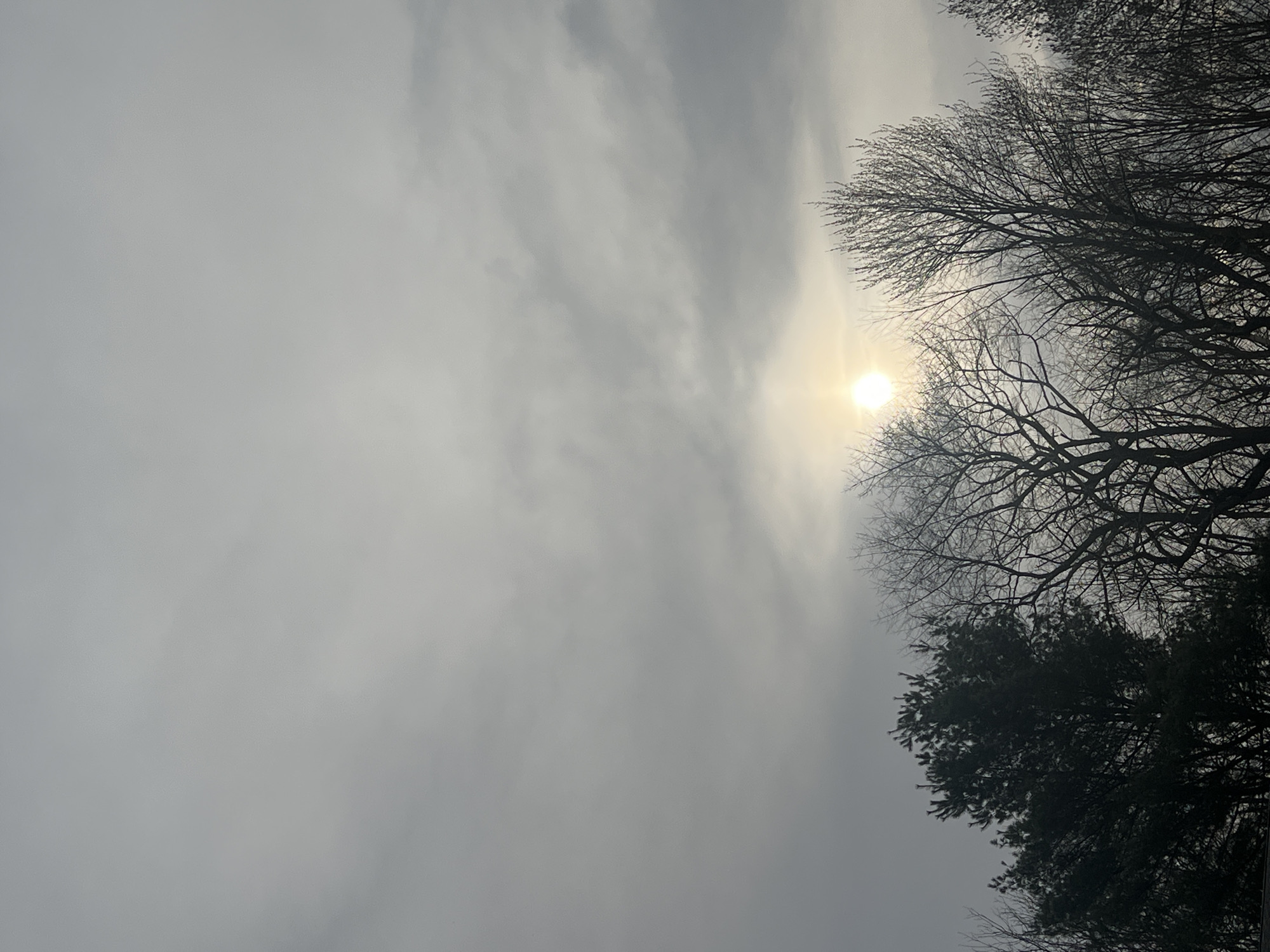 Solar Eclipse Witnessed Through Overcast Skies in Port Jervis