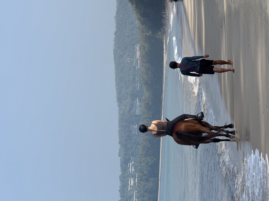Horse and rider traverse beach shoreline in Choeng Thale