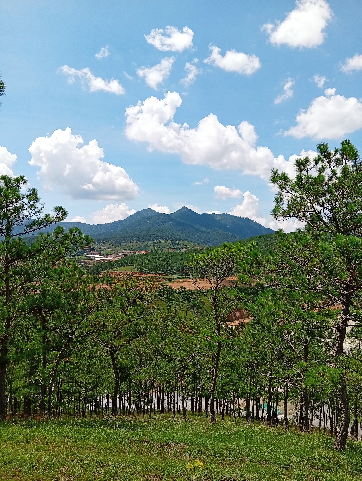 Morning plateau views captured in Vietnam's Da Lat region