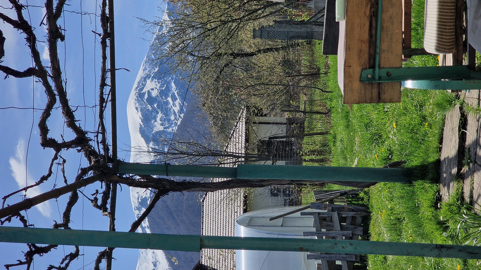 Quiet morning relaxation documented in Apriltsi mountain village