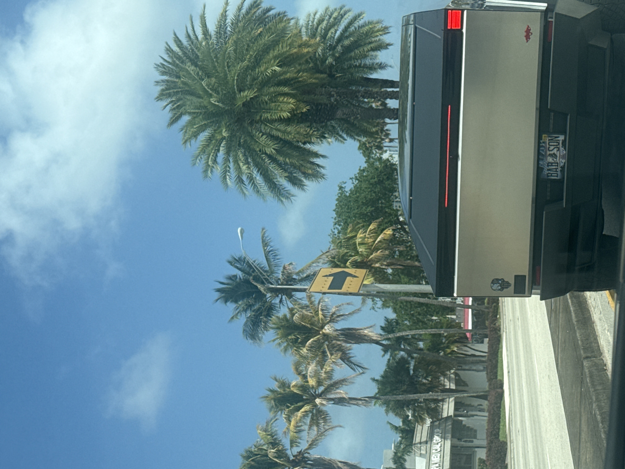 Vehicle captures palm-lined street scene in North Miami Beach