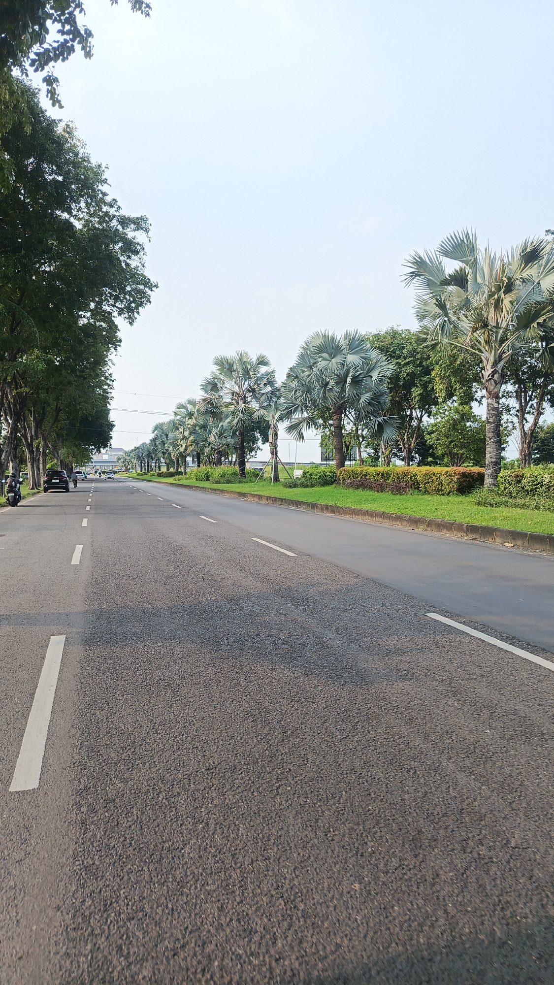 Indonesian roadway and university building documented in morning observations