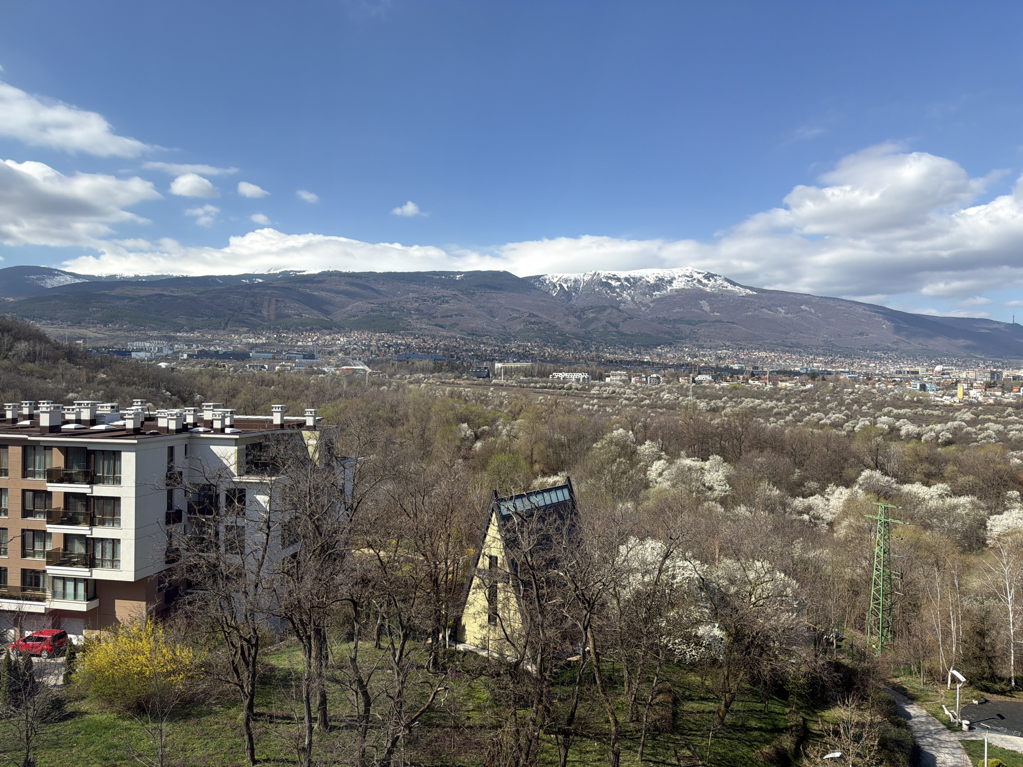 Spring blooms captured in Sofia cityscape video