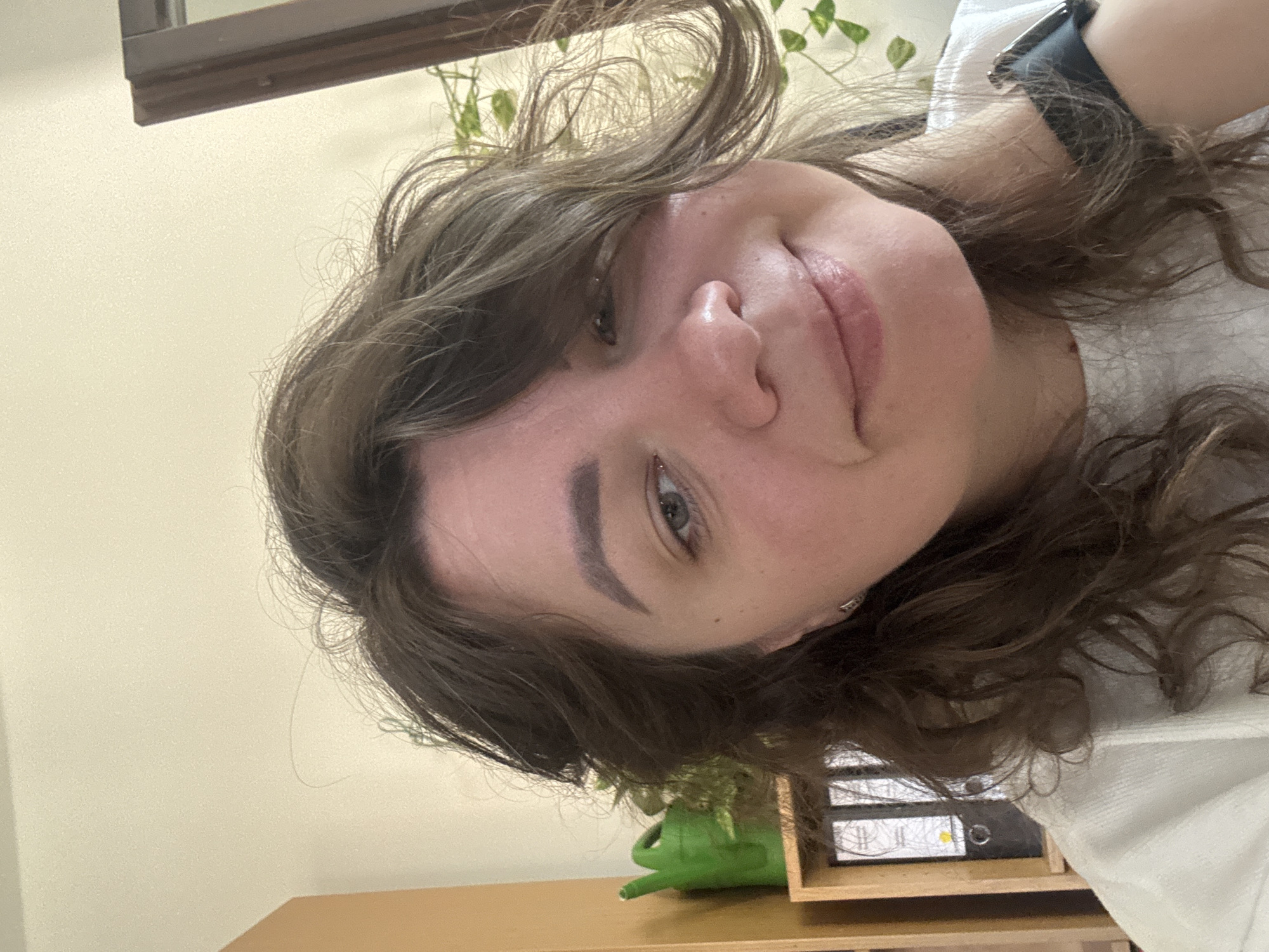Morning desk session in a Hohenbrunn home office