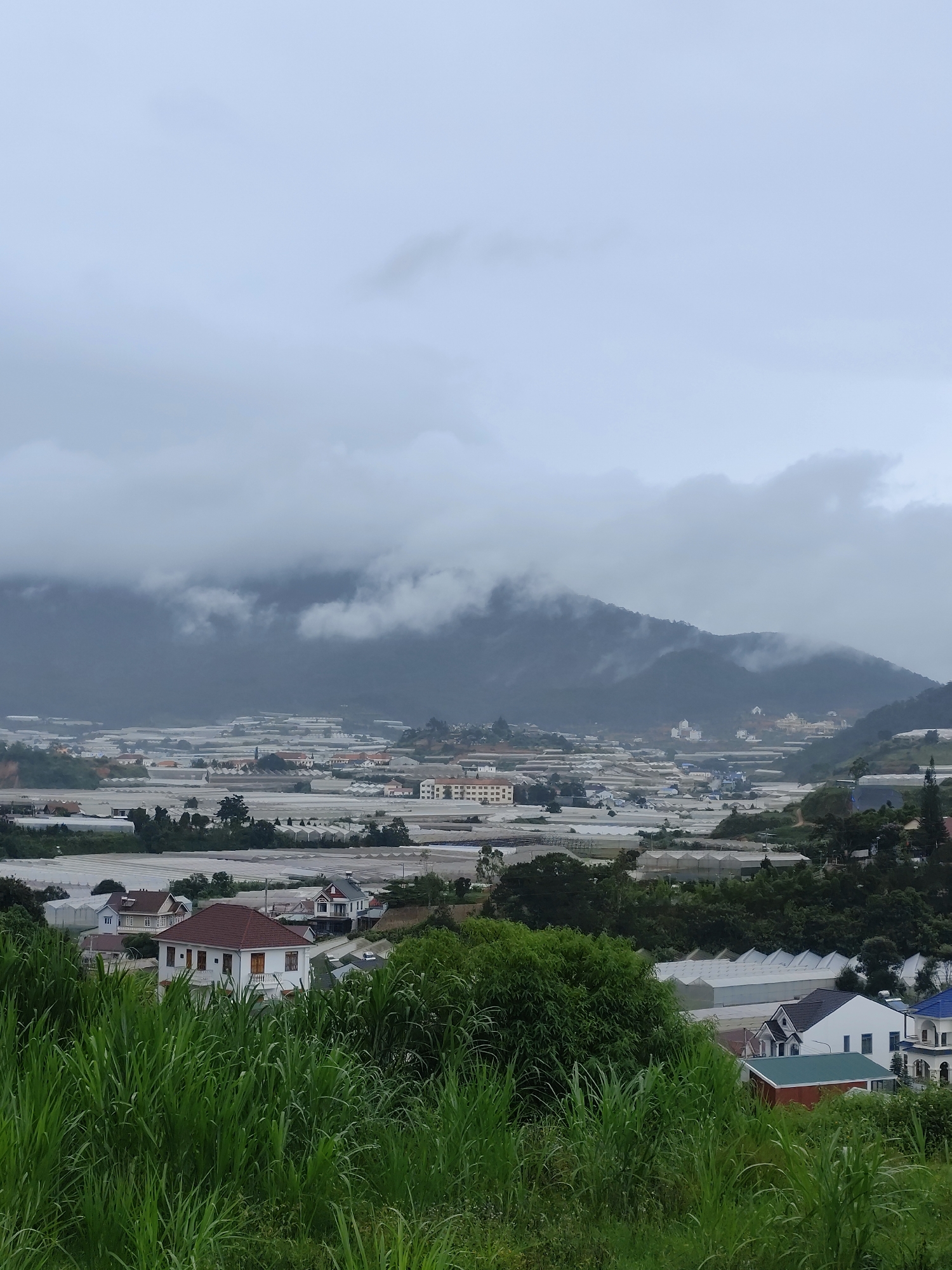 Misty morning at a Buddhist temple complex in Lạc Dương