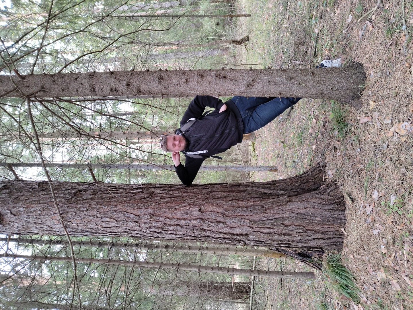 Forestry operation documented in Russian Volga region