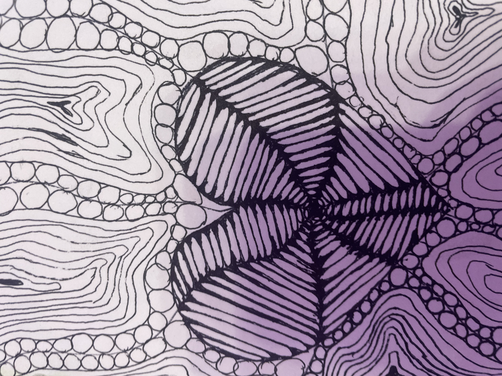 Artist creates diverse sketch collection in four-minute drawing session