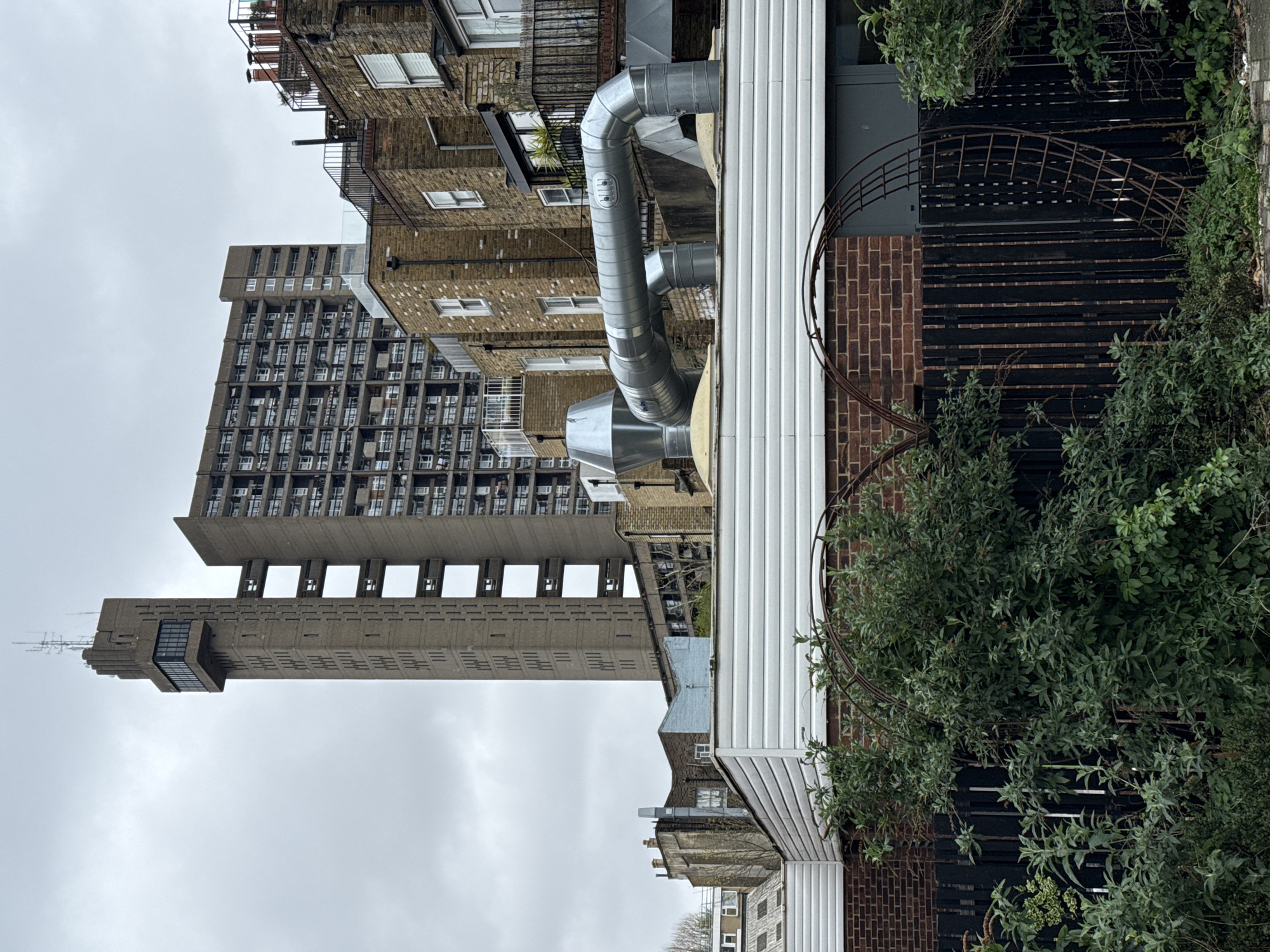 Bird photographed flying over London's Barbican Estate brutalist towers