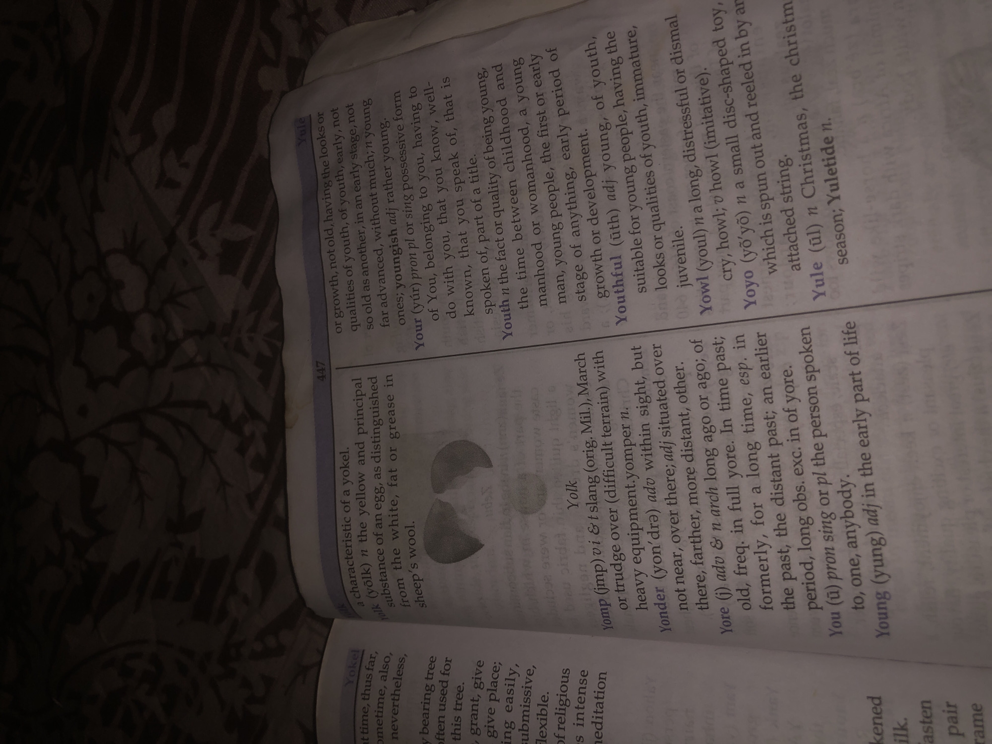 Browsing a worn English dictionary by lamplight in Jalingo