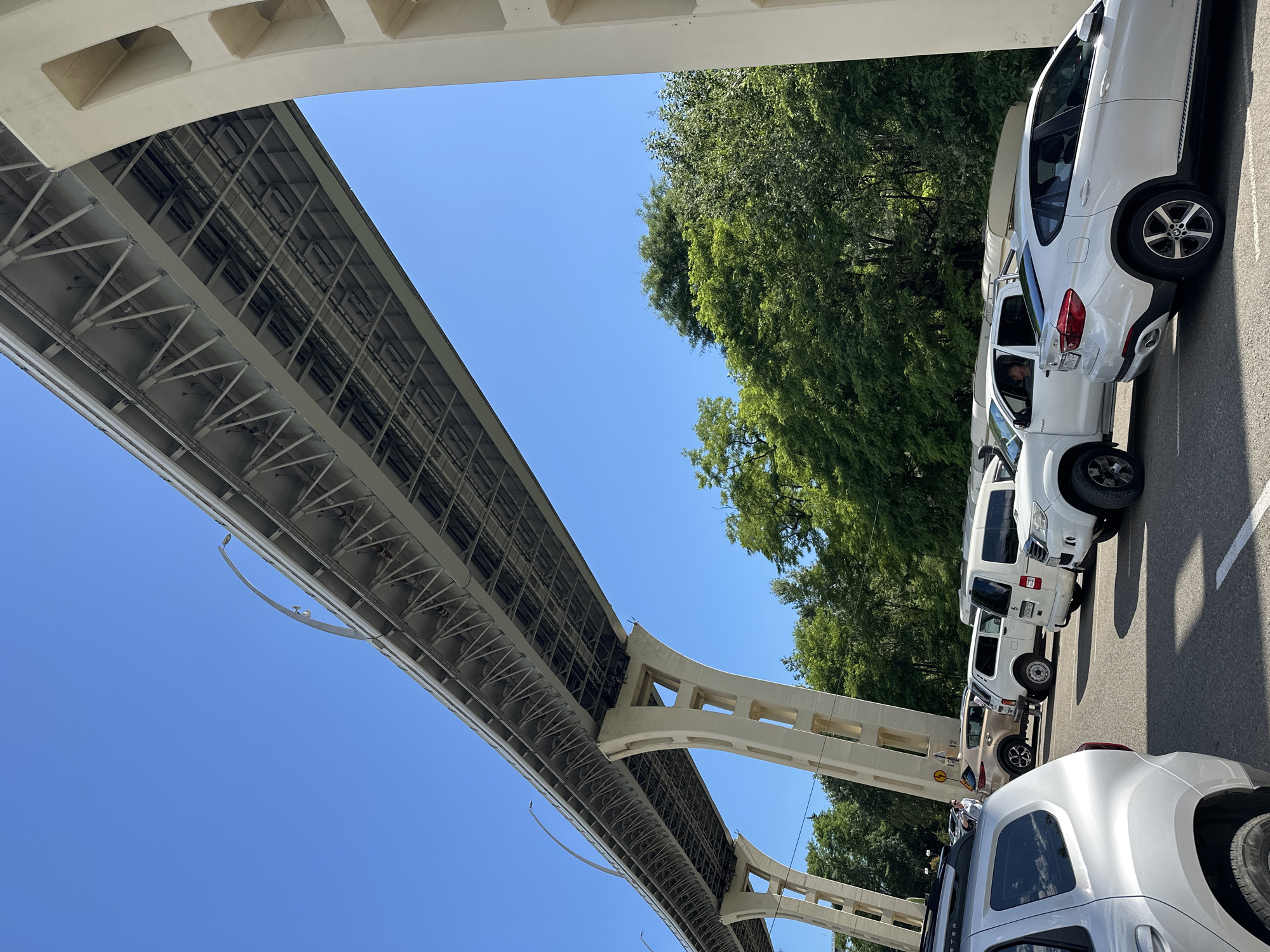 Afternoon loop through Sochi parks, markets, and highway overpasses
