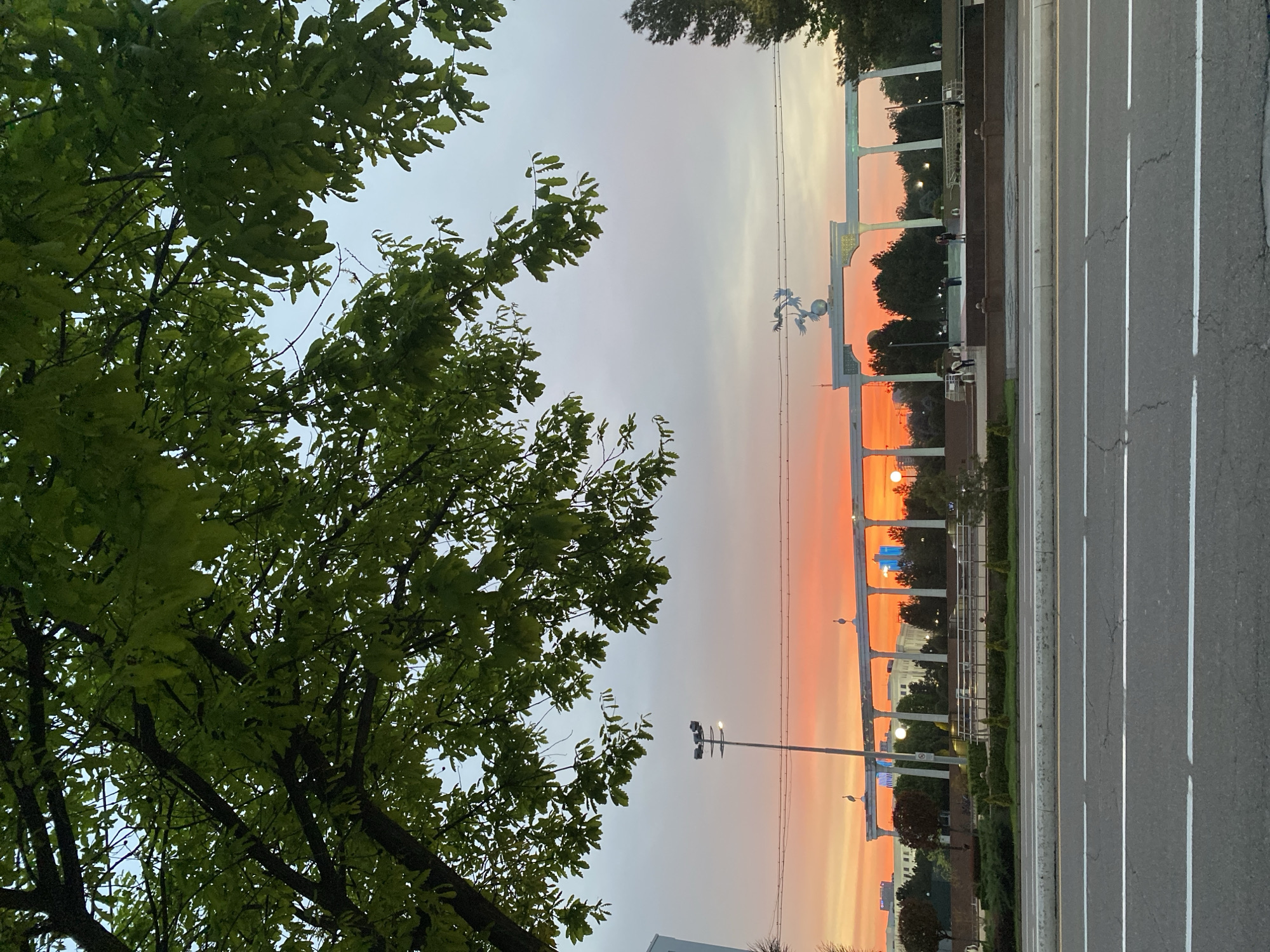 Sunset scenes captured in Tashkent streets with colorful skies