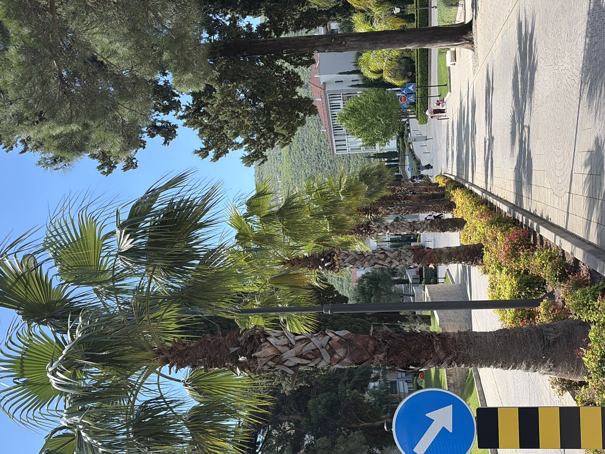 Morning walk documented through Kumbor's palm-lined streets and art installations