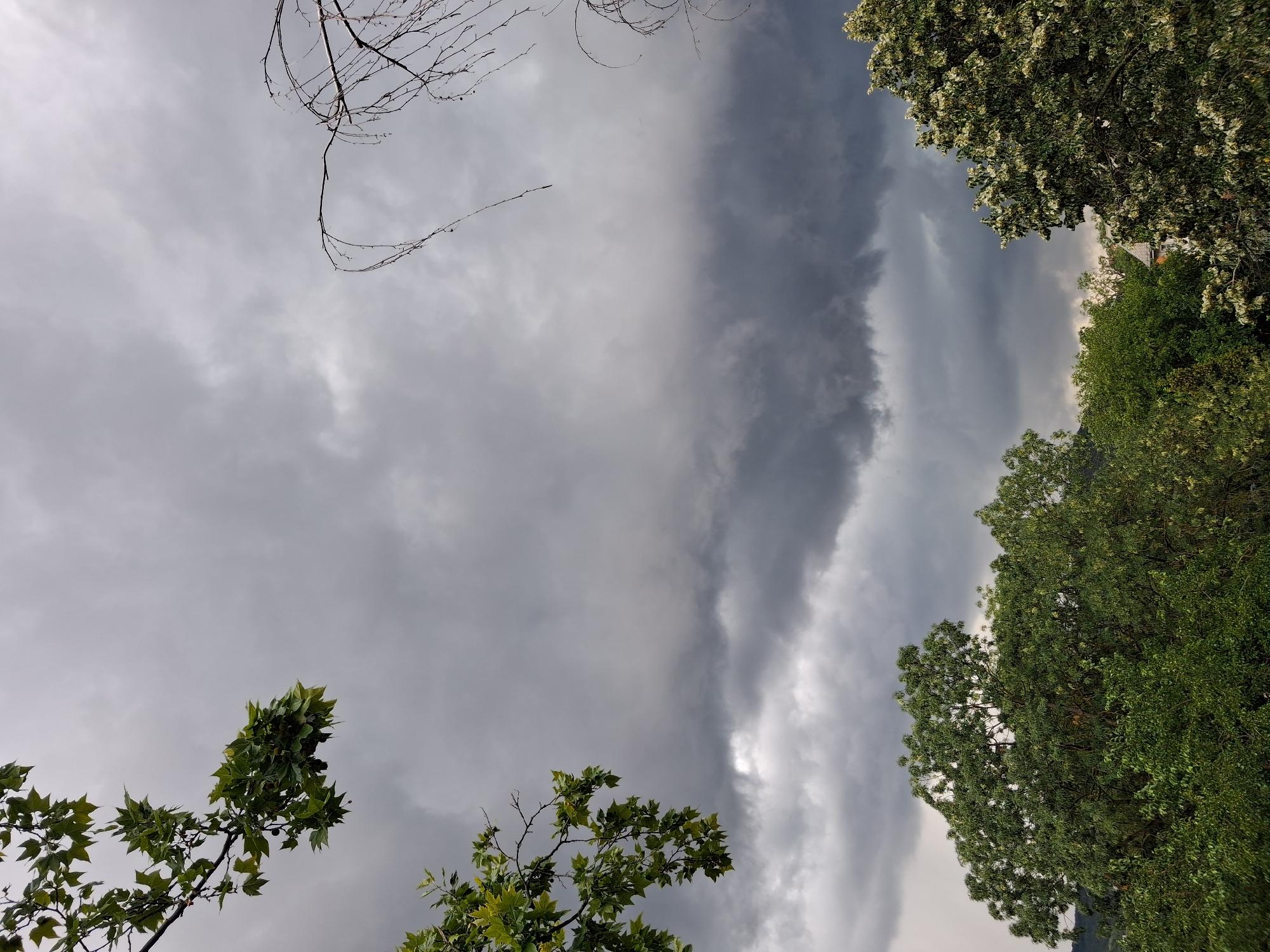 Dark storm clouds gather over Budapest treetops