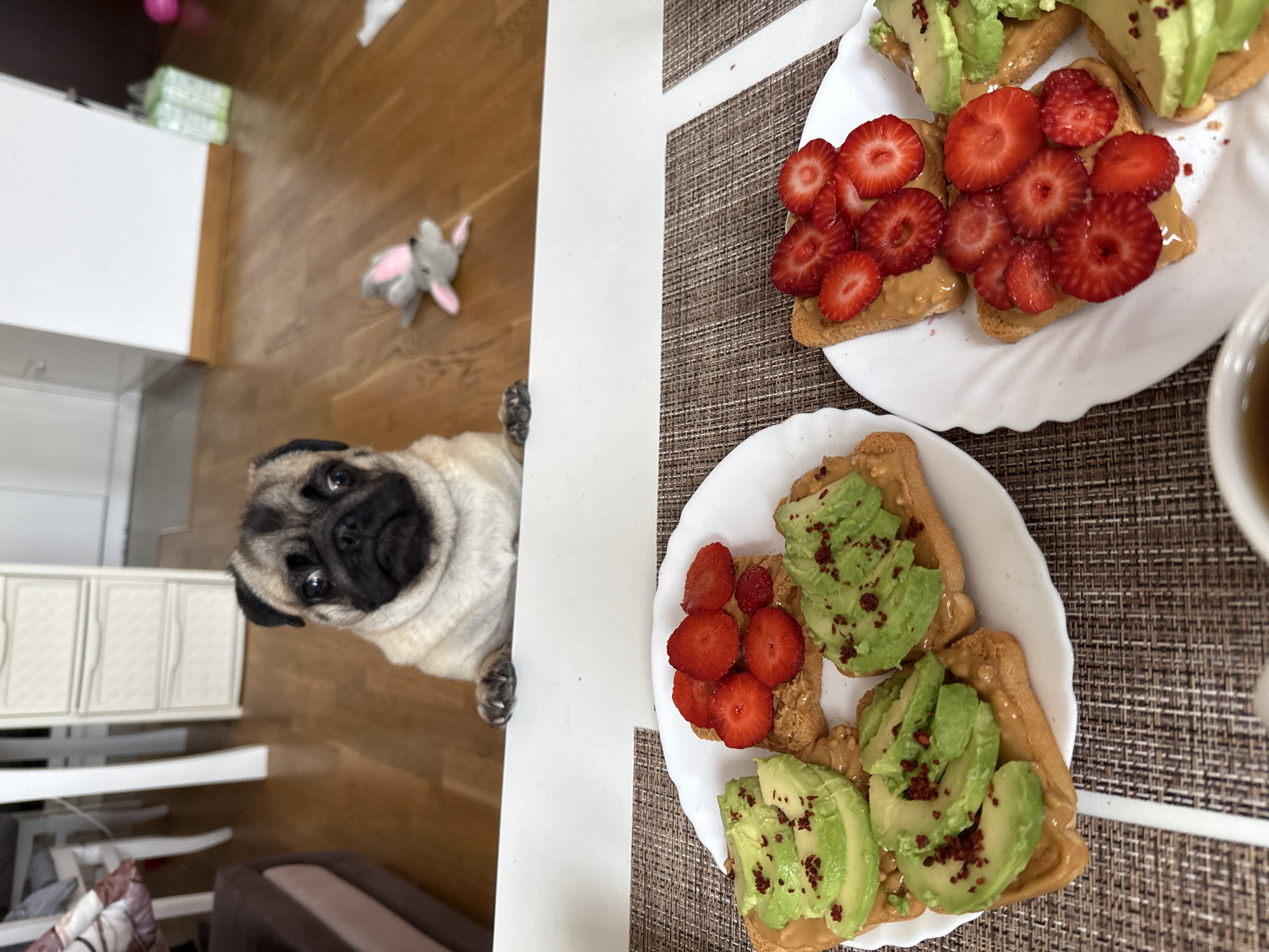 Pug eyes breakfast toast with fruit and avocado toppings
