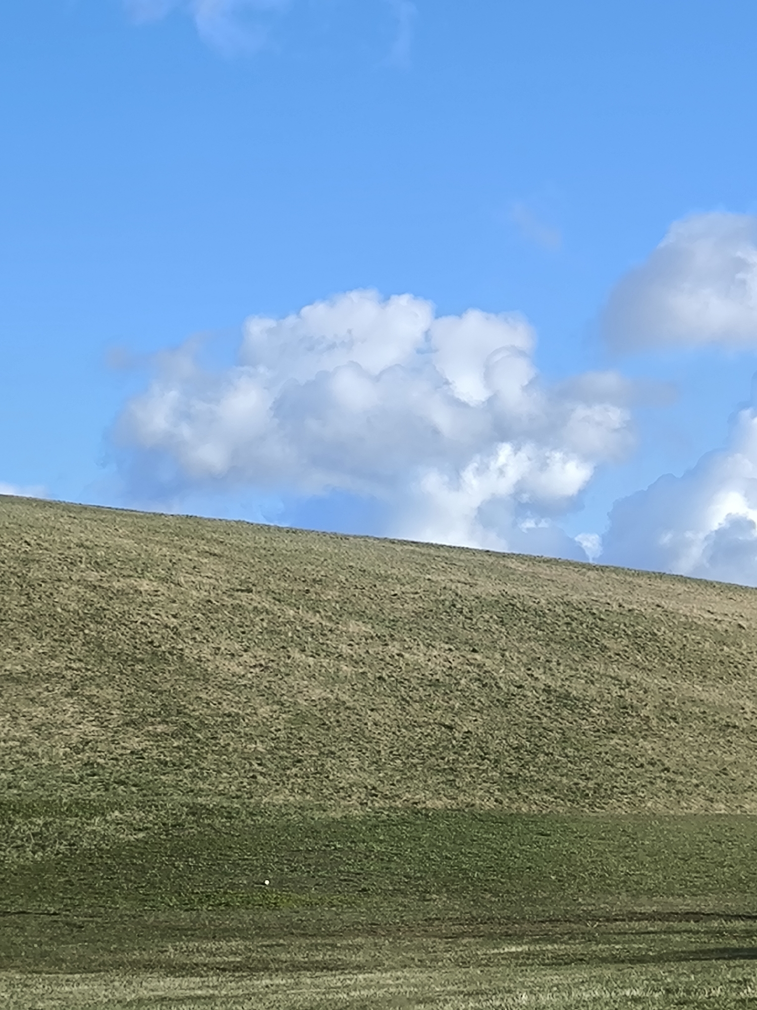 Spring hillside landscape captured in Riga, Latvia