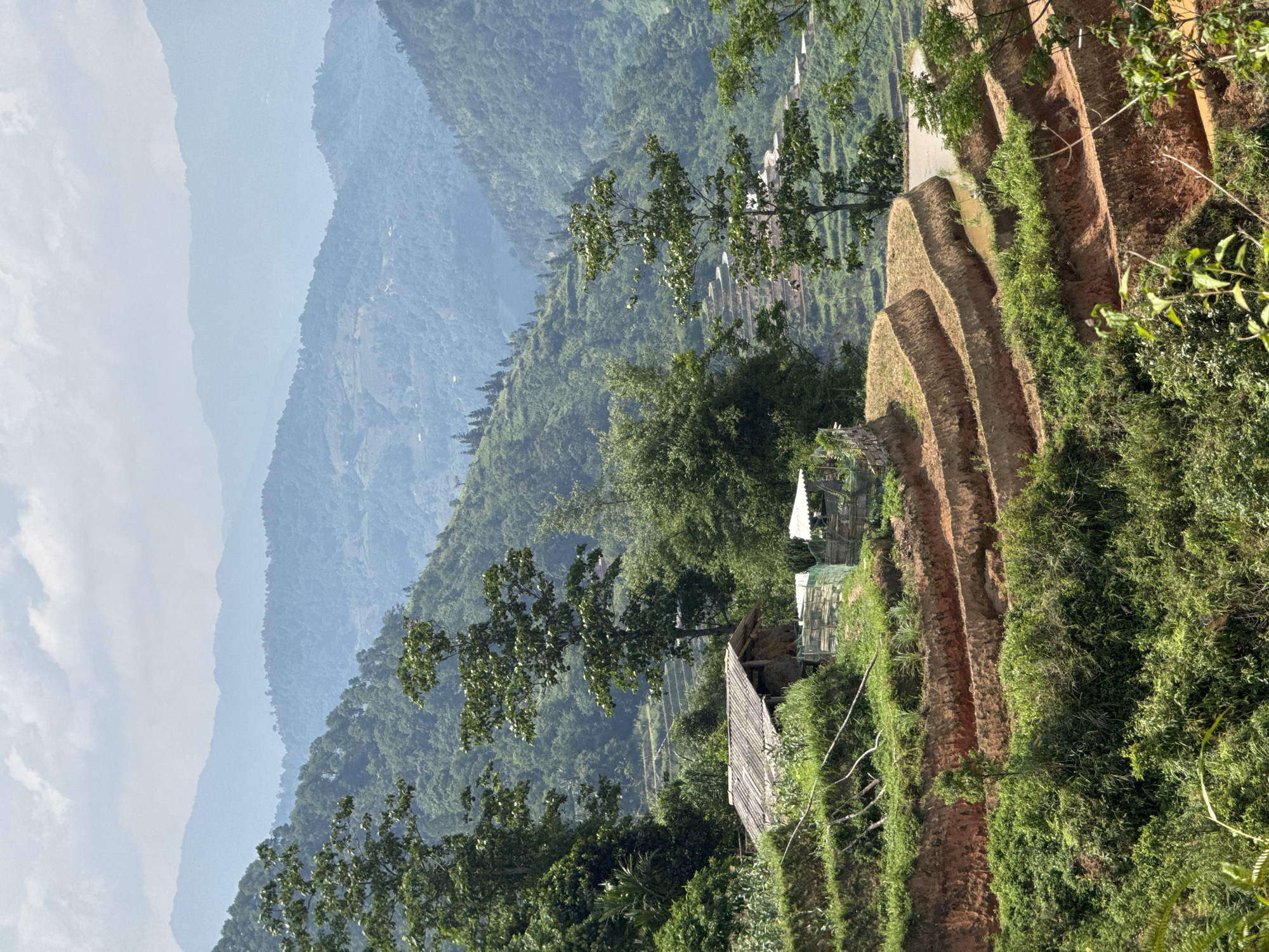 Couple visits terraced rice fields near Vinh Quang, Vietnam