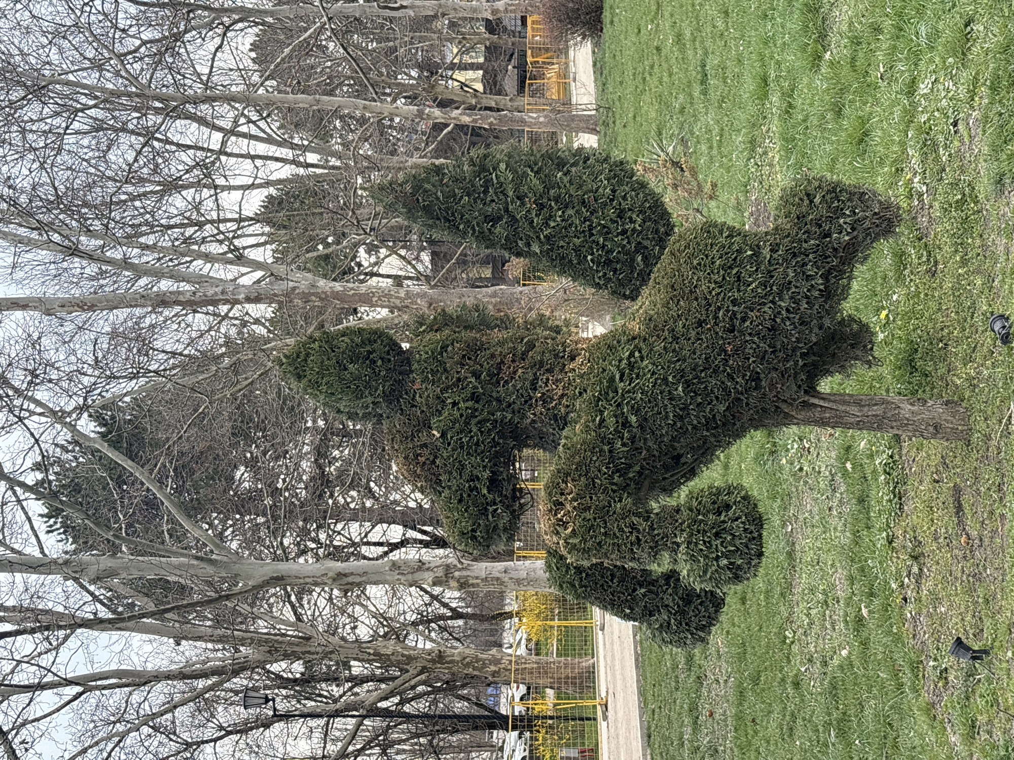 Morning scenes captured in Simferopol park setting