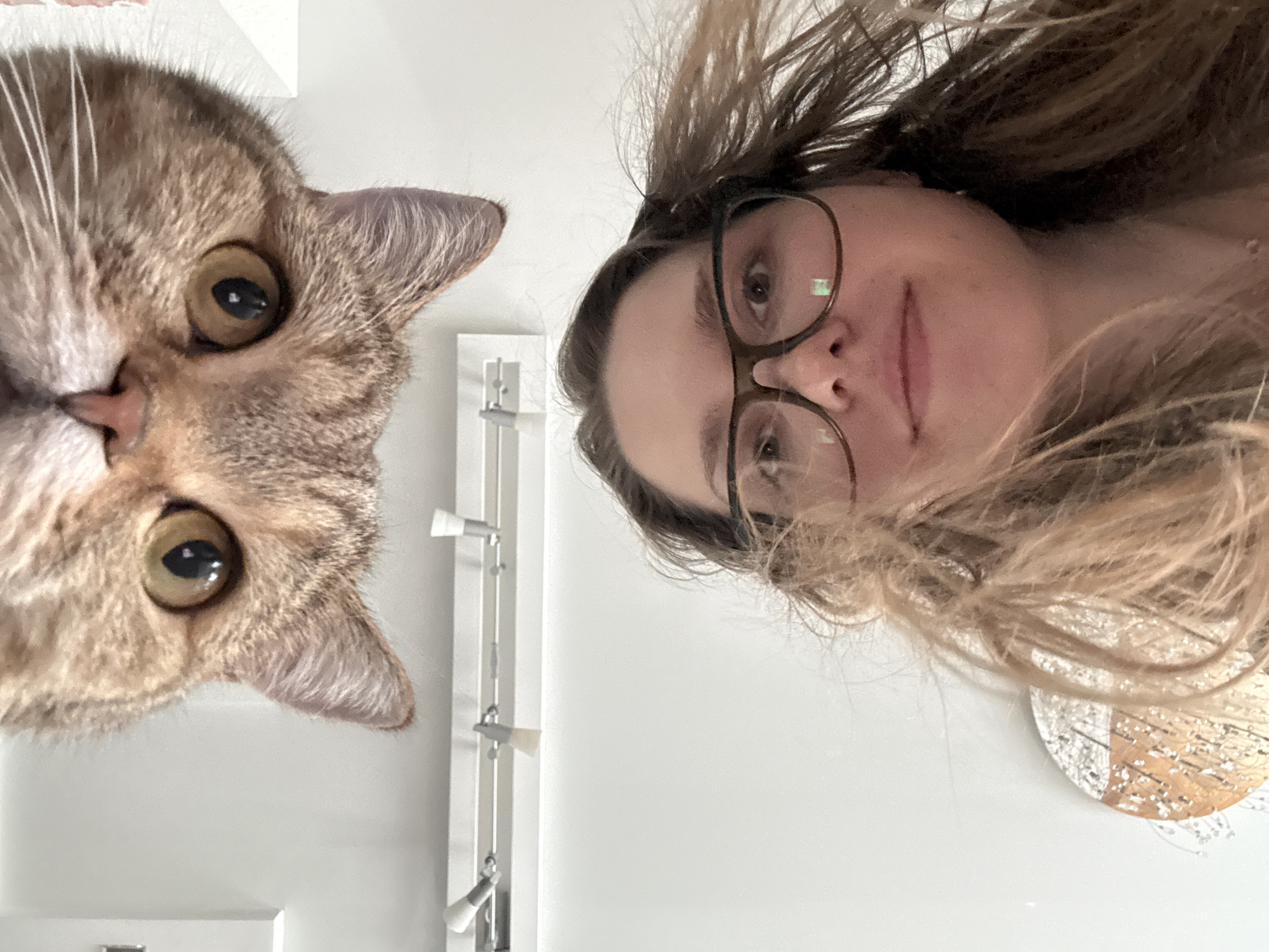 Tabby cat gets a full photo session at a Saint Petersburg apartment
