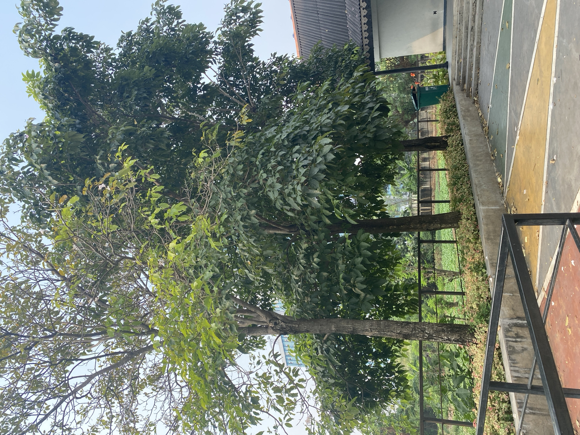 Morning walk through a neighborhood park in East Jakarta