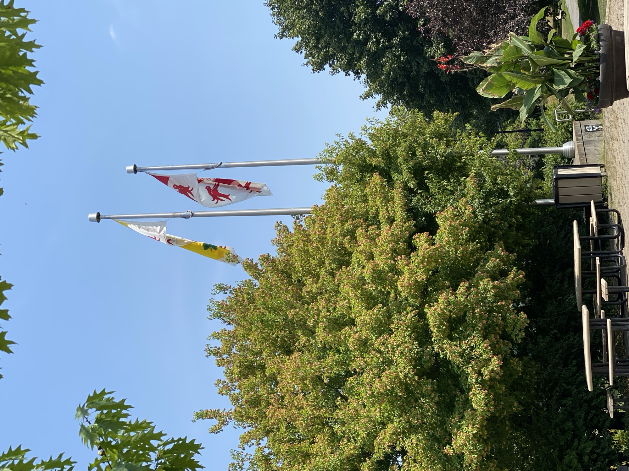 Summer afternoon in a Sainte-Anne-de-Bellevue park and garden