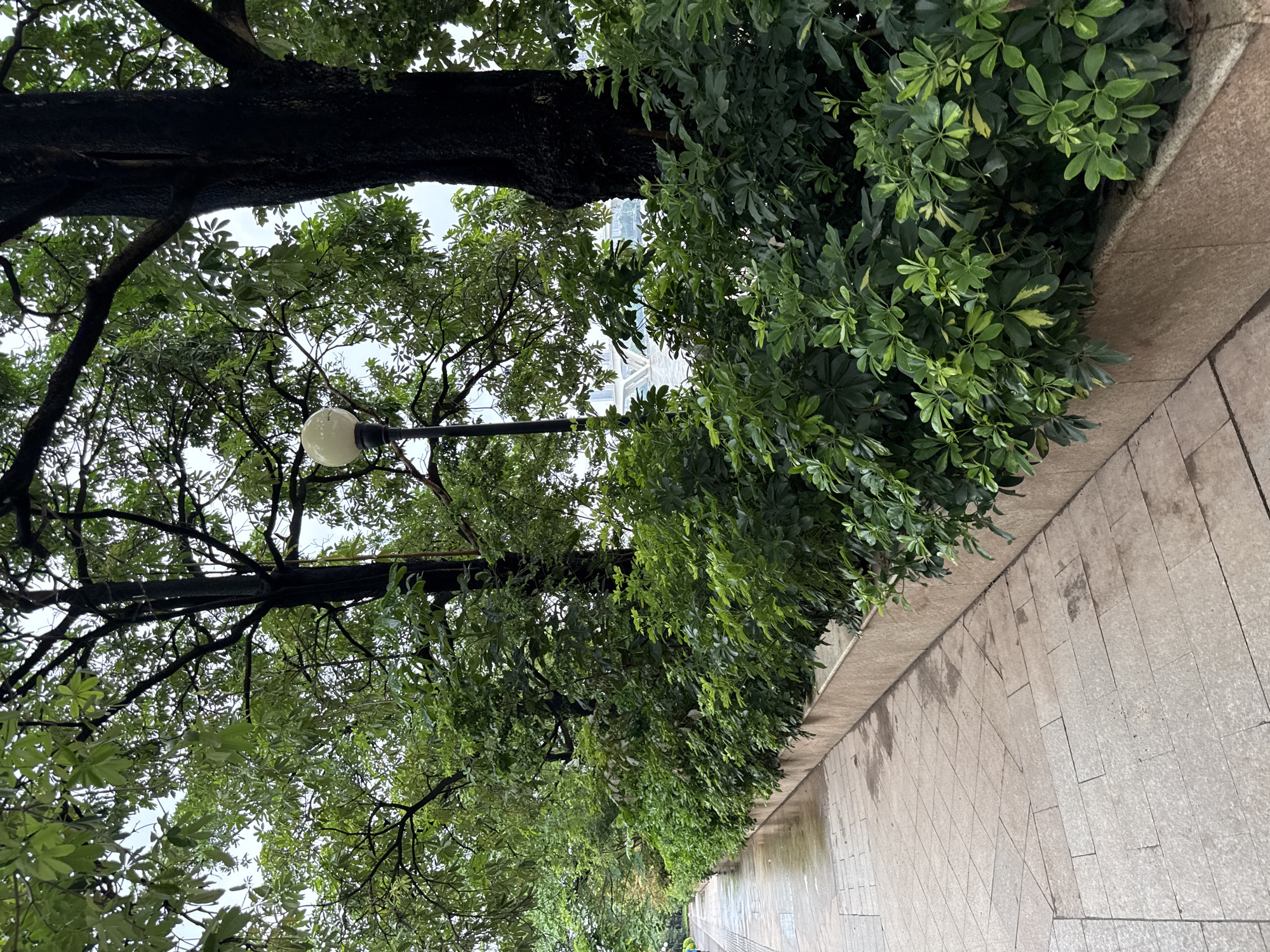 Strolling Tianhe's riverside park on a grey afternoon