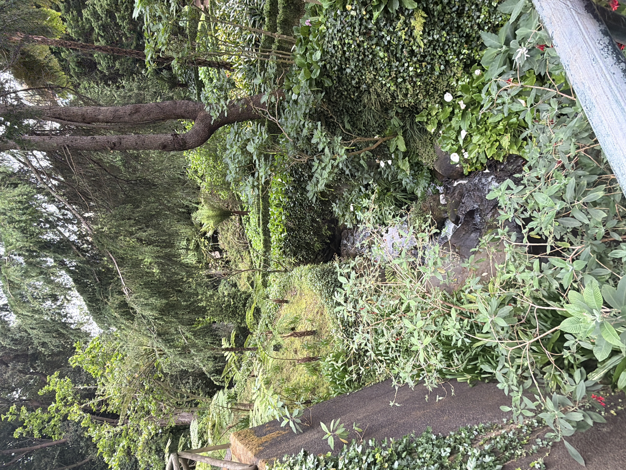 Visitor documents afternoon stroll through Funchal's Monte Palace Garden