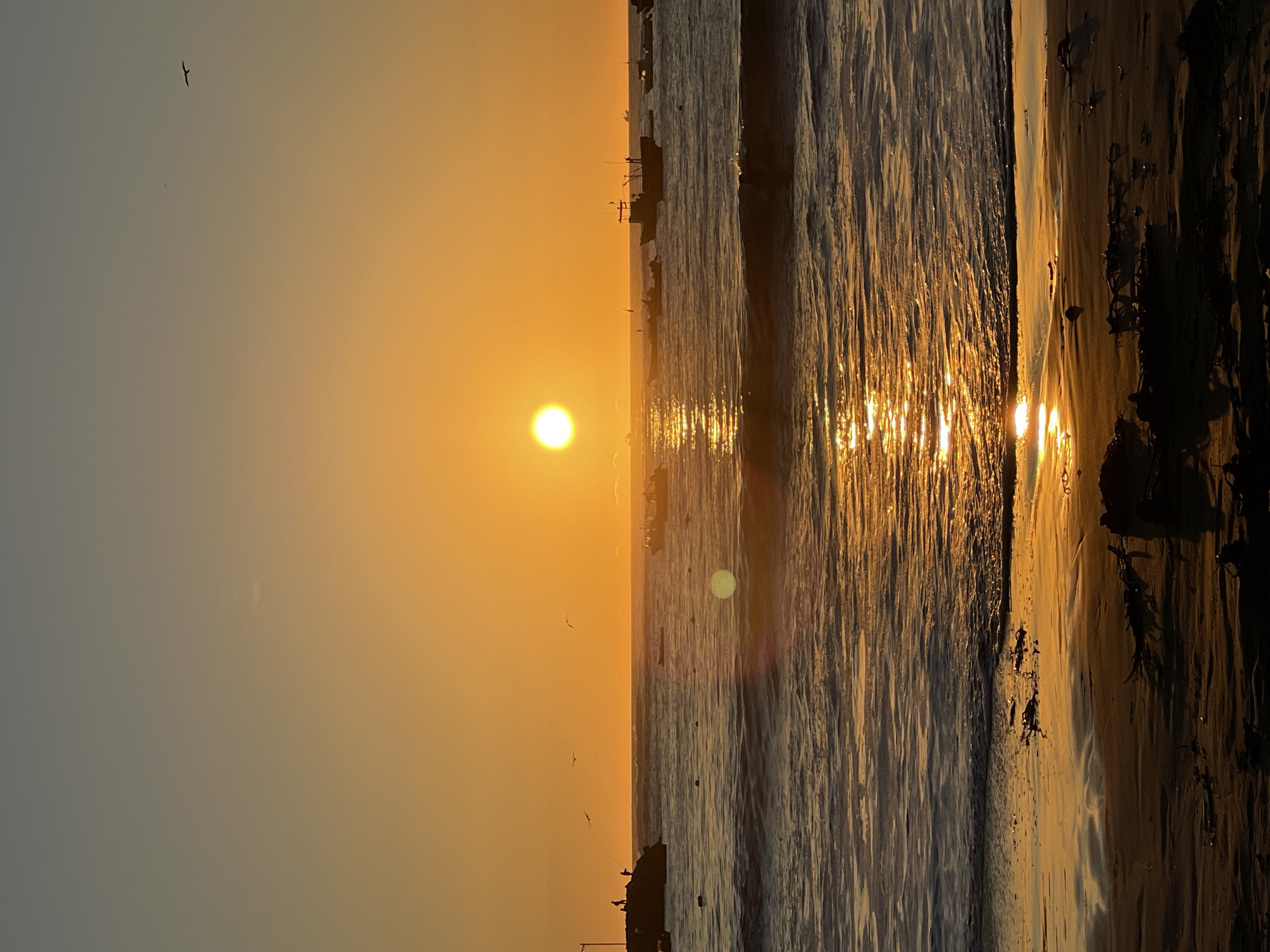 Sunset observed over ocean in Iquique, Chile