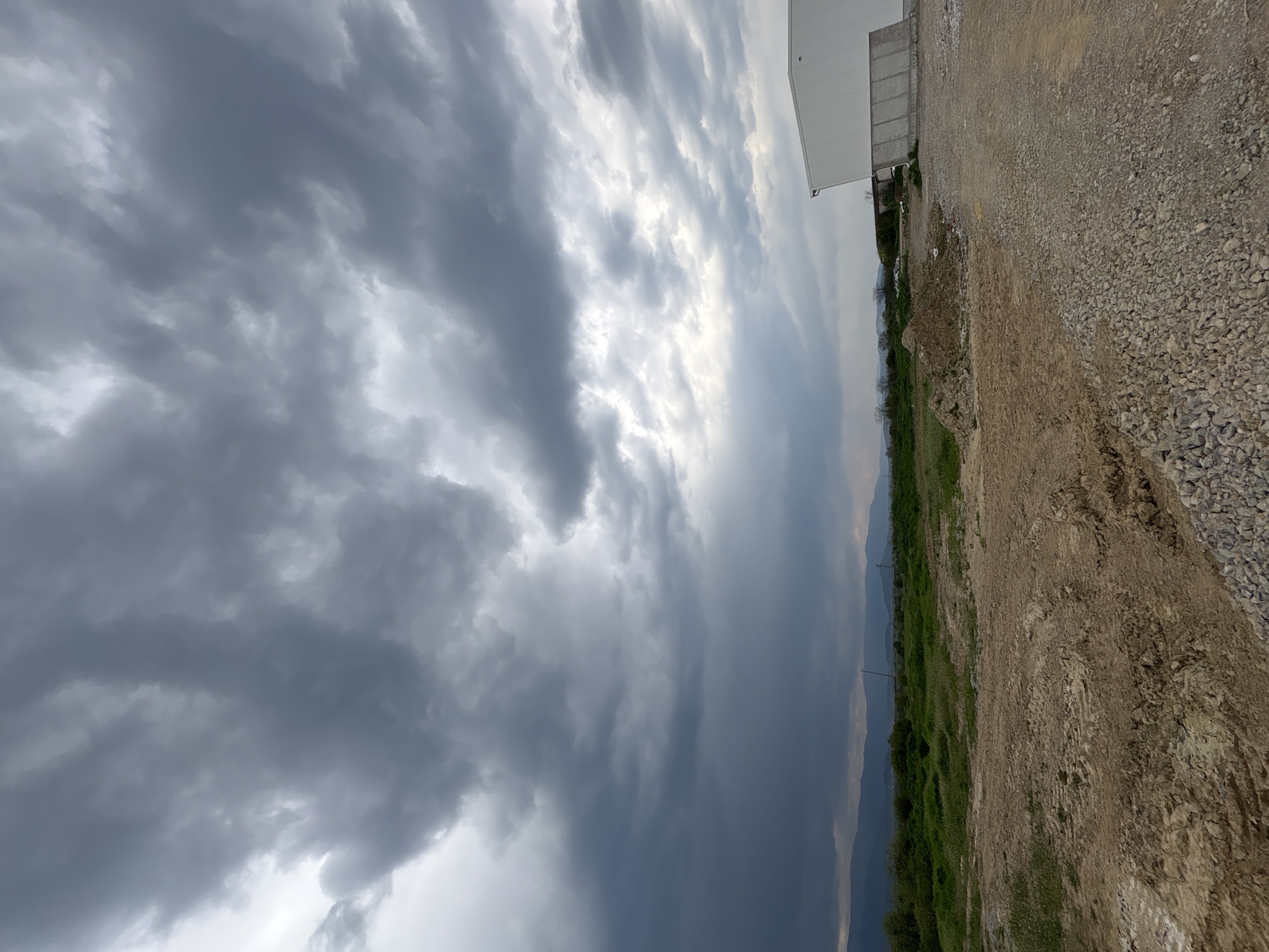 Farm animals and wildlife observed under stormy skies