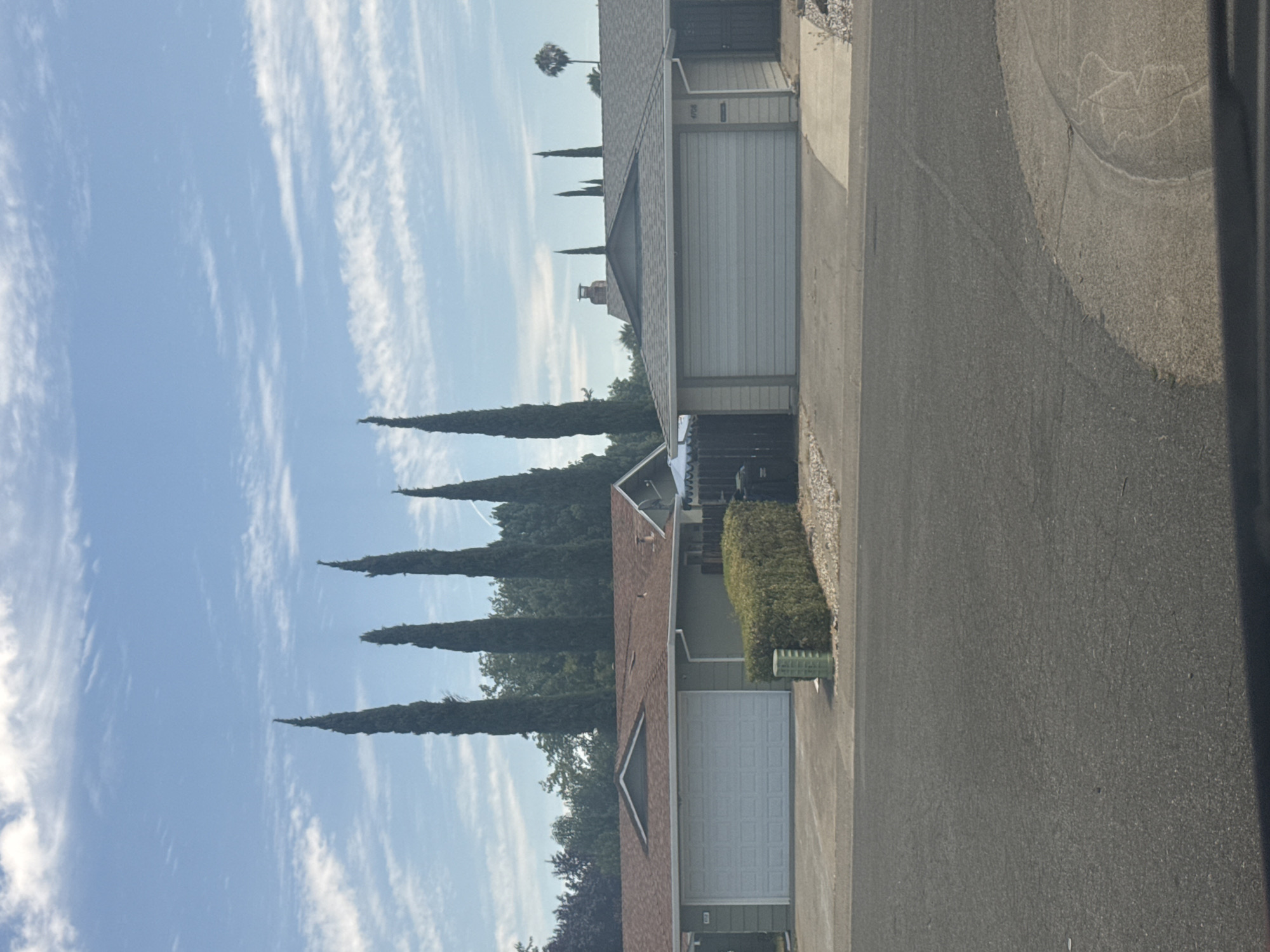 Sacramento house sports a full American flag painted garage door