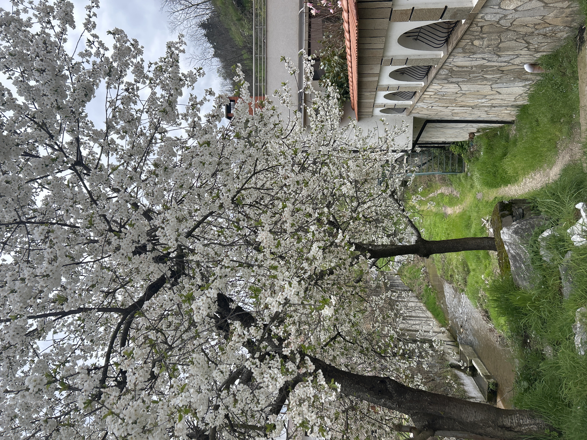 Spring day documented in Bulgarian mountain town Zlatograd