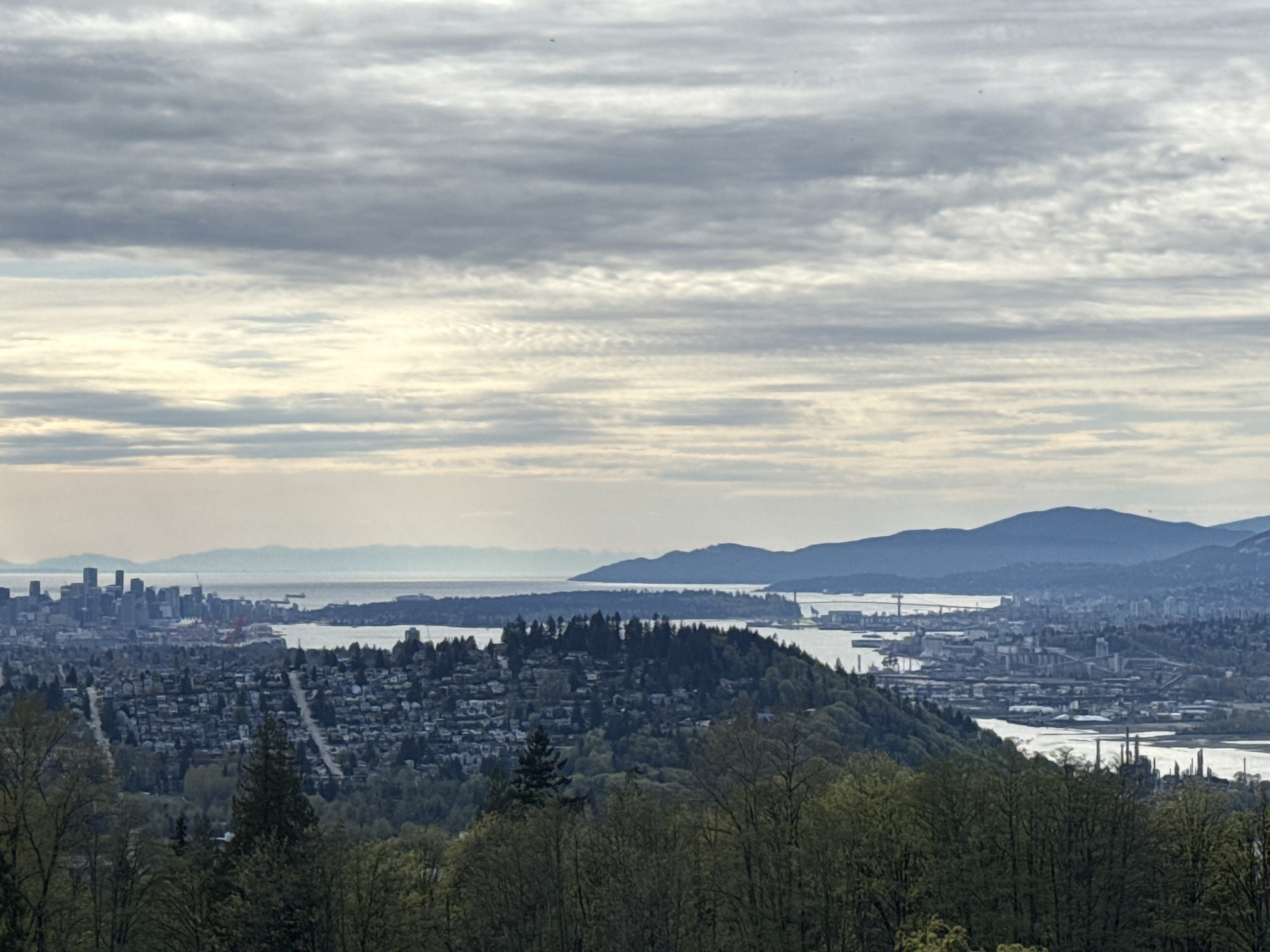 Late night scenic views captured from Burnaby Mountain viewpoint