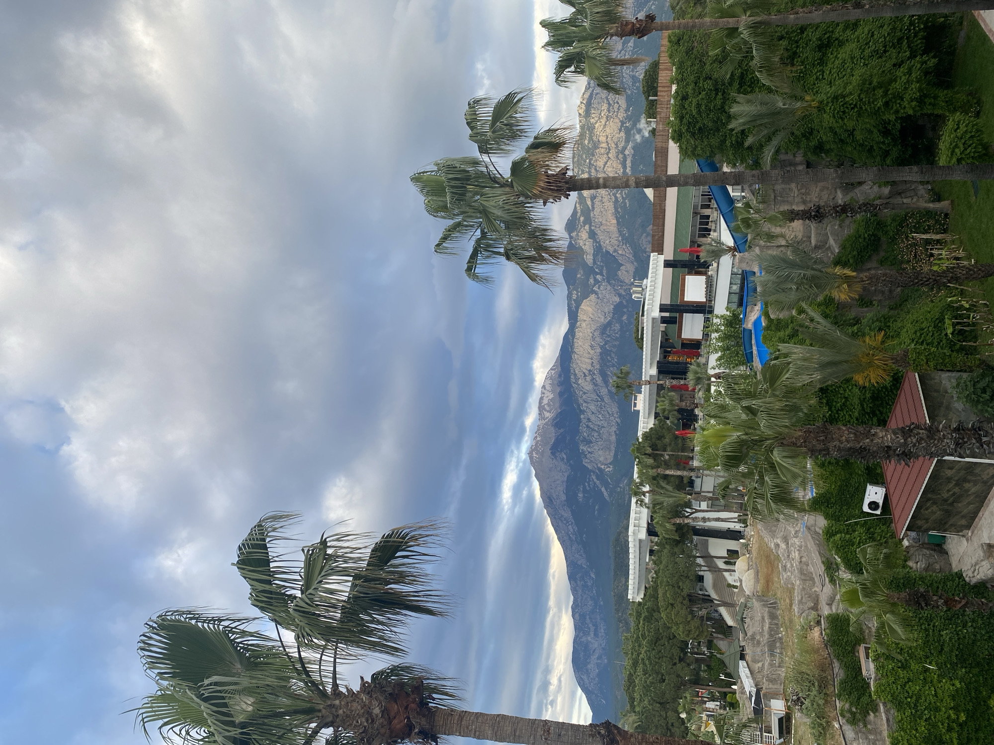 Palm trees sway under cloudy skies in Kemer, Turkey