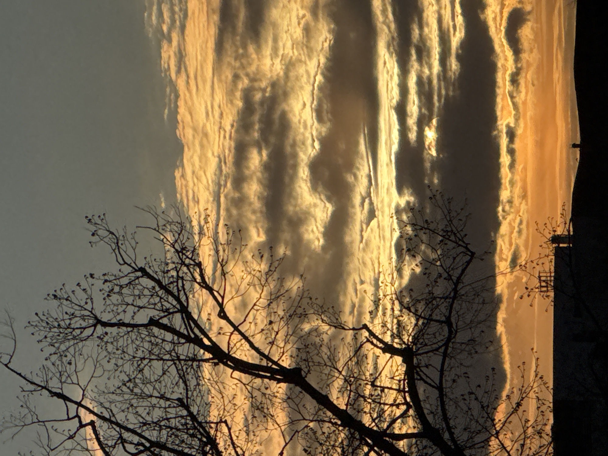Twilight sky with golden clouds captured in Strasbourg