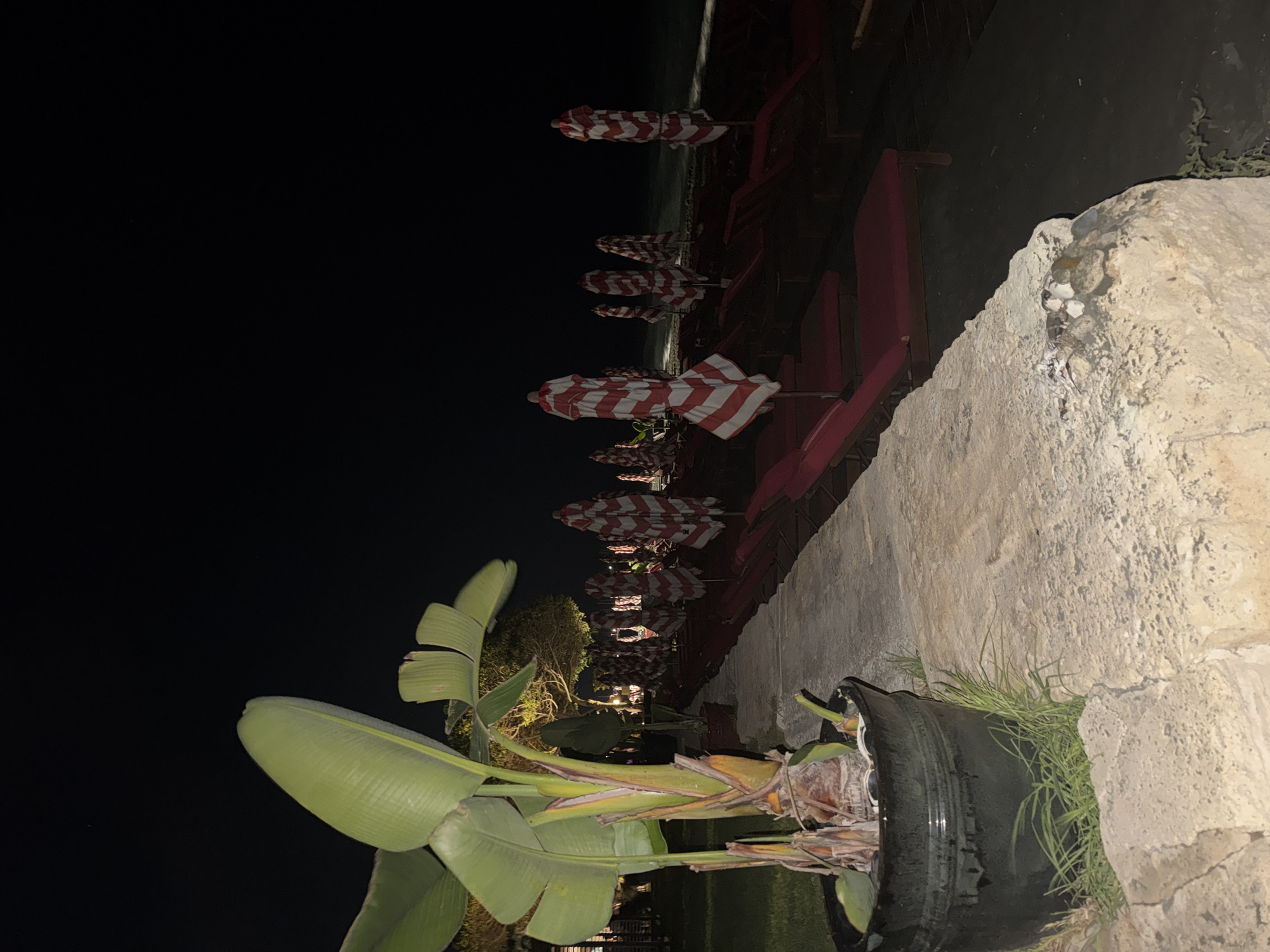 Summer night along the Cyprus coast: hotels, beaches, and street cats