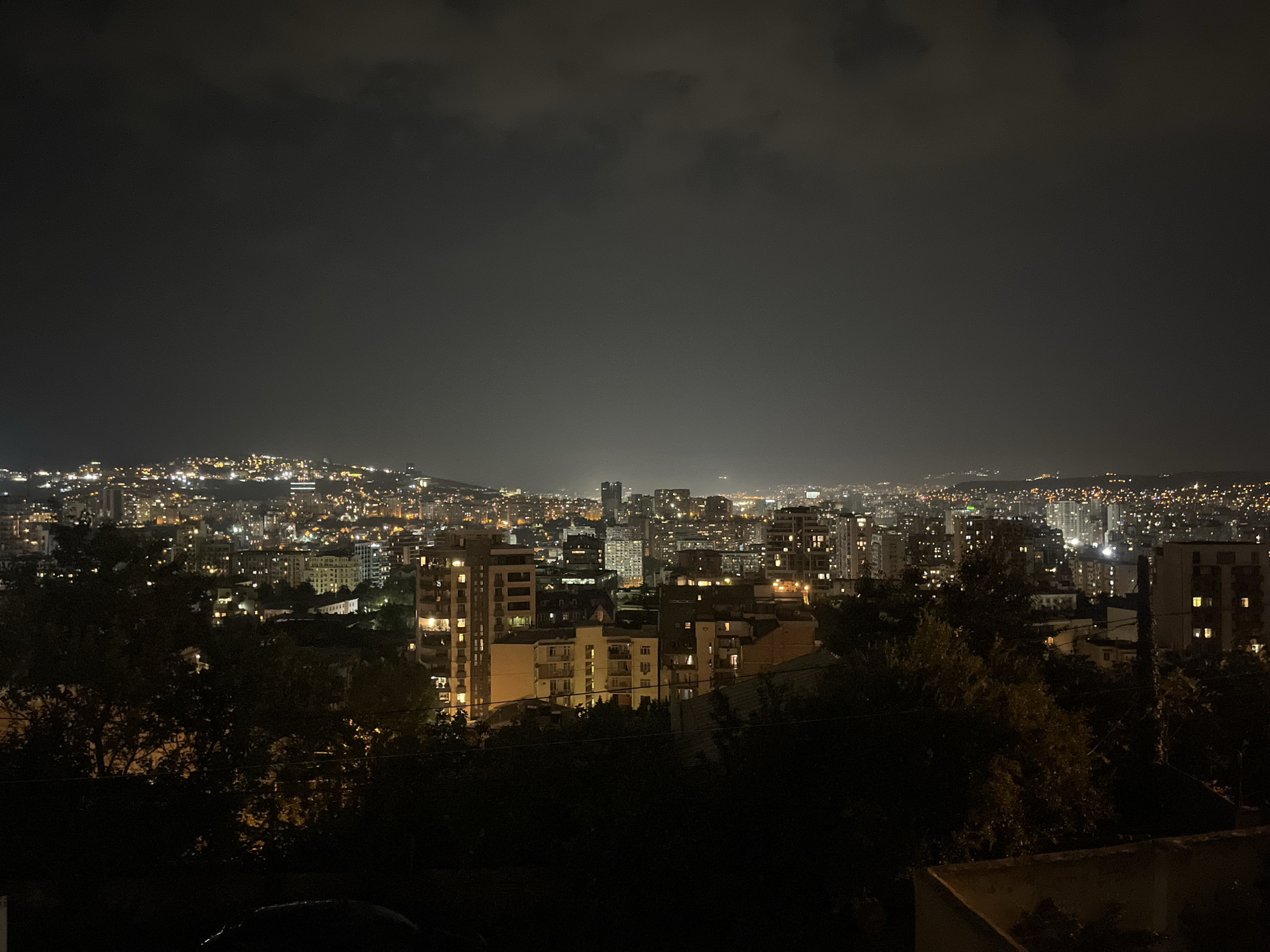 Tbilisi nights: city lights and cats being cats