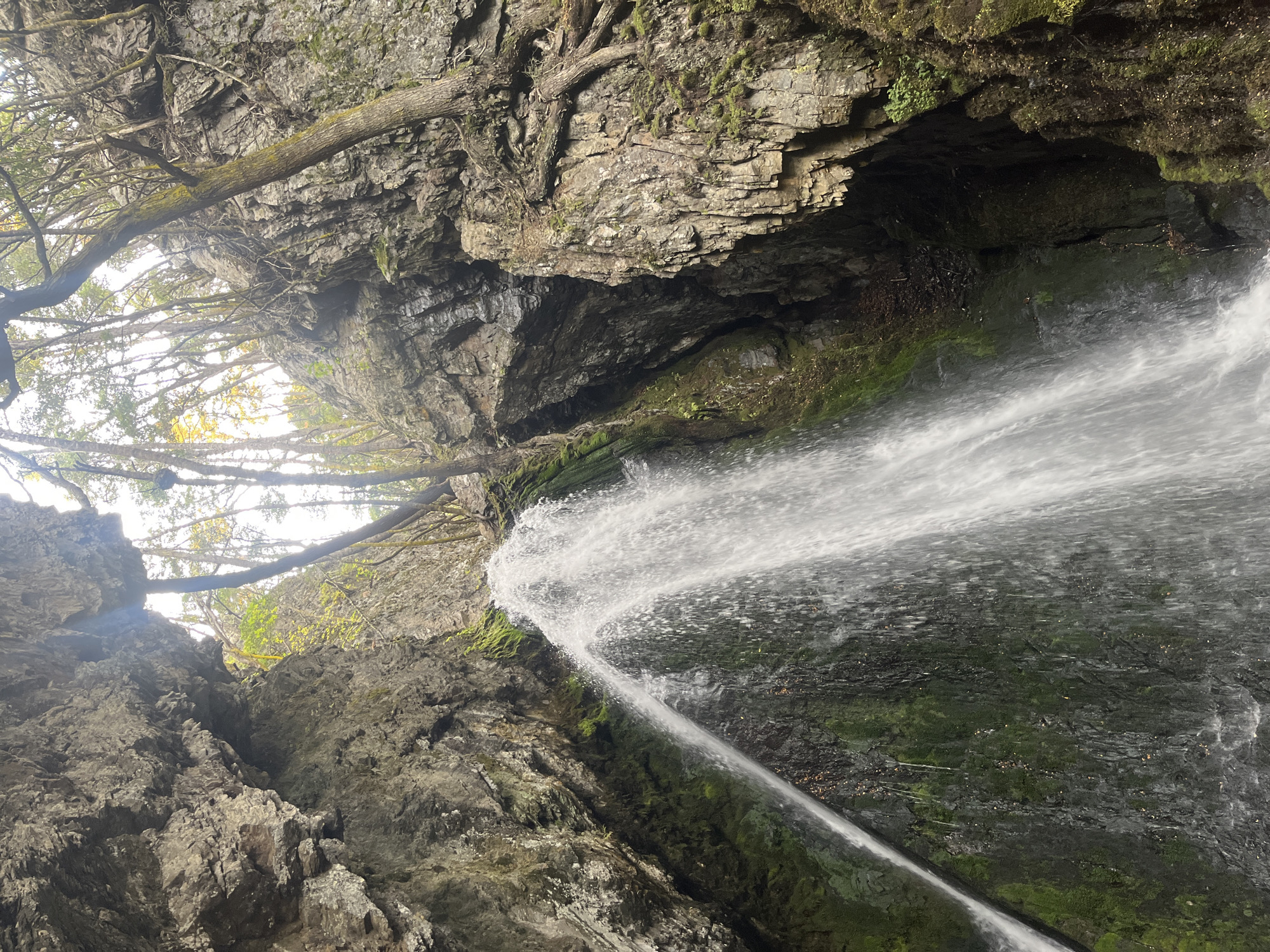 Waterfall documented flowing over mossy rock formations in Argentina