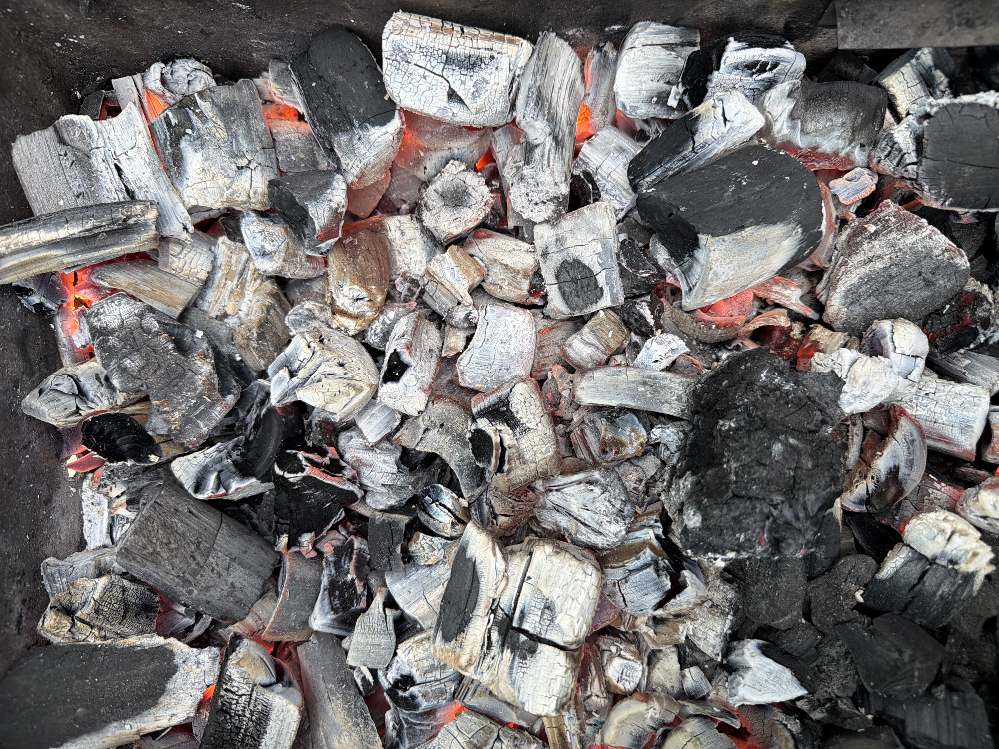 Lakeside charcoal burning documented in Фоки, Russia