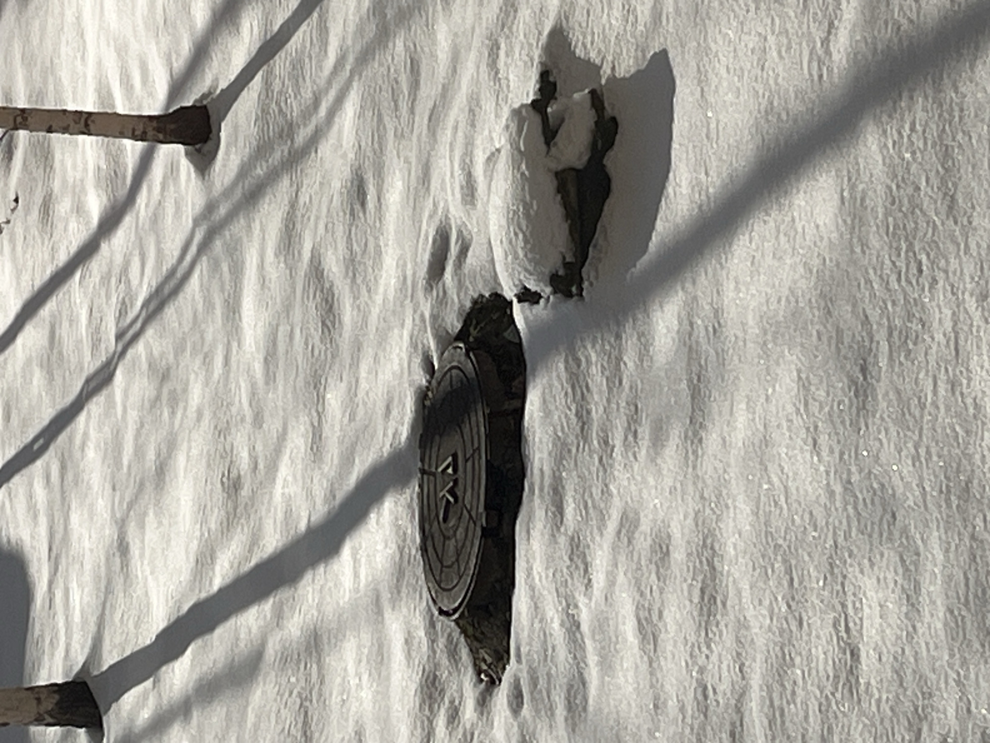 Late night documentation captures winter scenes and interior details