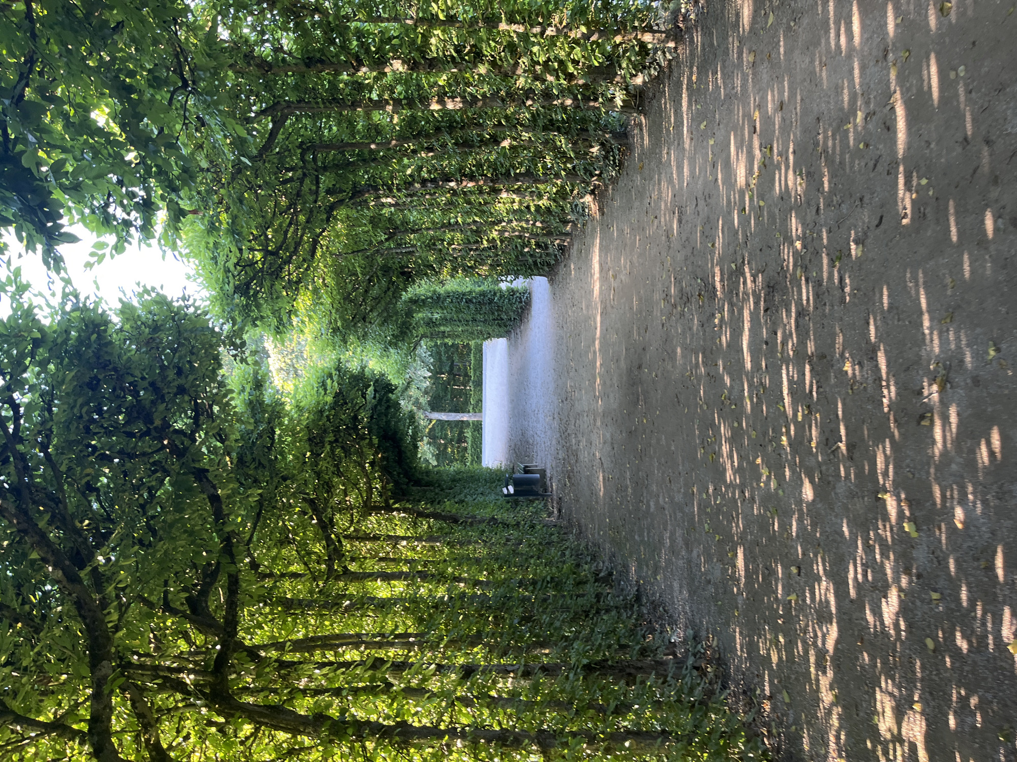 Strolling the hedge-lined paths of a Bayreuth formal garden