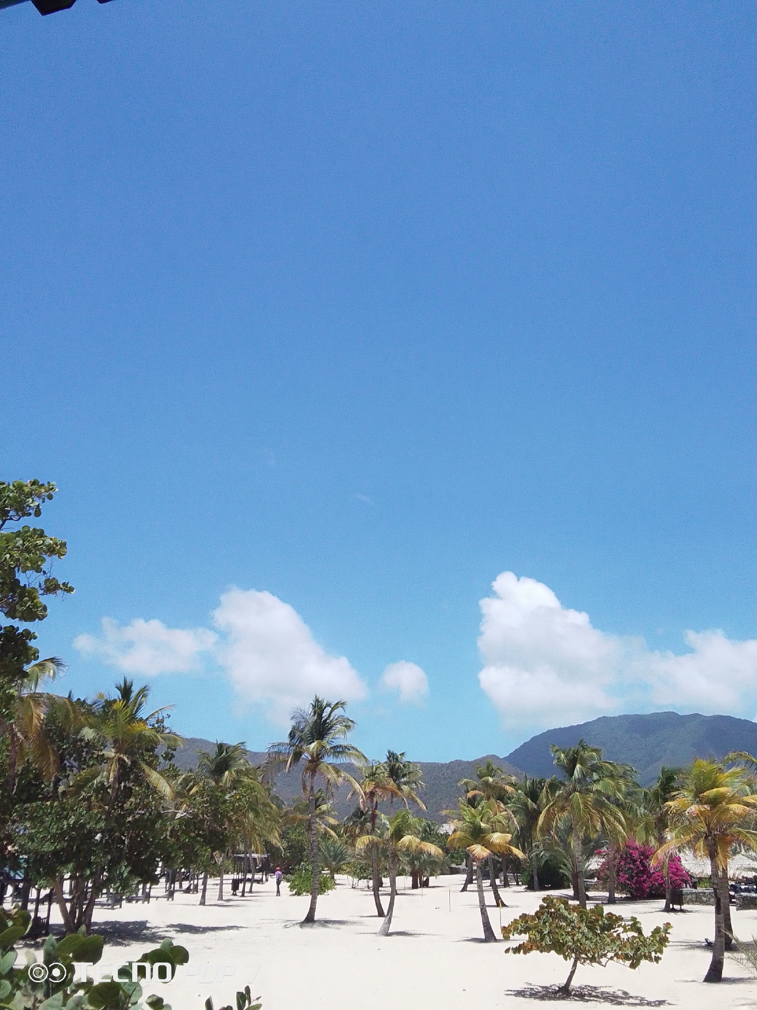 Sunny afternoon captured at Playa Caribe beach, Venezuela