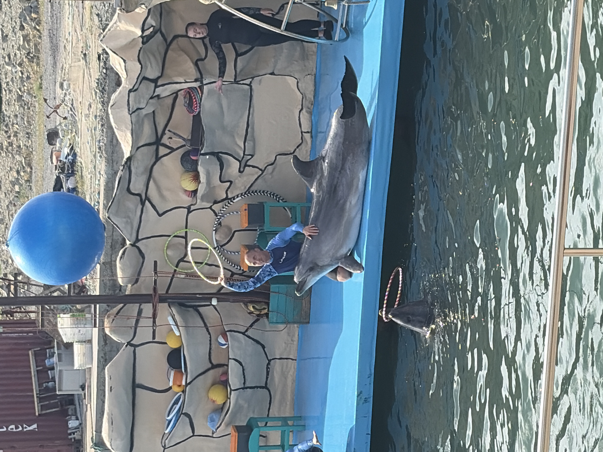 Marine park hosts dolphin and sea lion shows