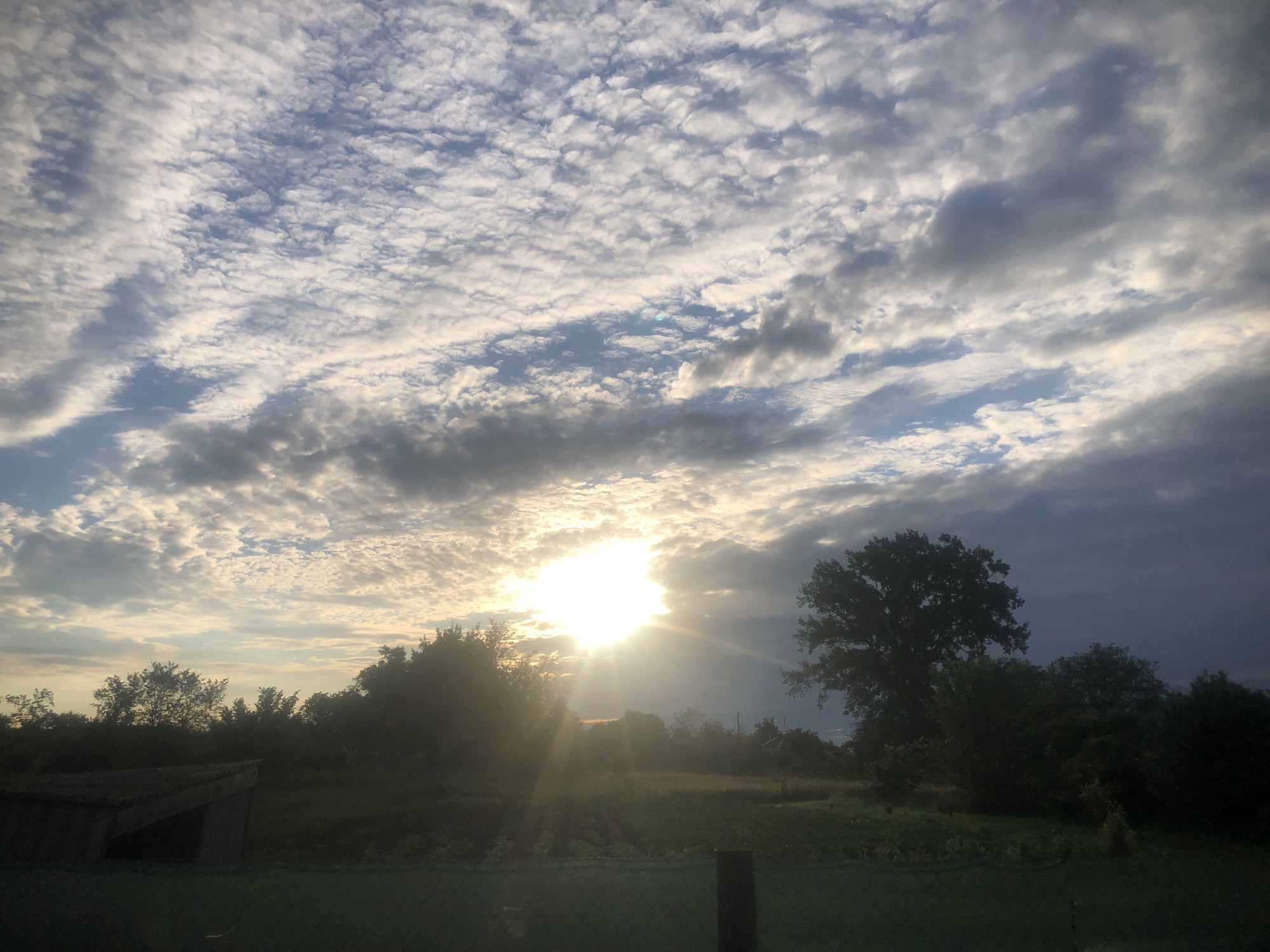 Road driving, roadside nature, and a sparrow nesting on a wire